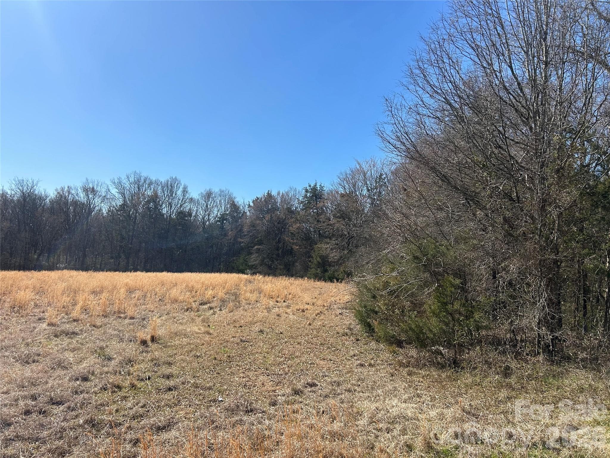Acreage at Rock Hill, photo 22 of 90