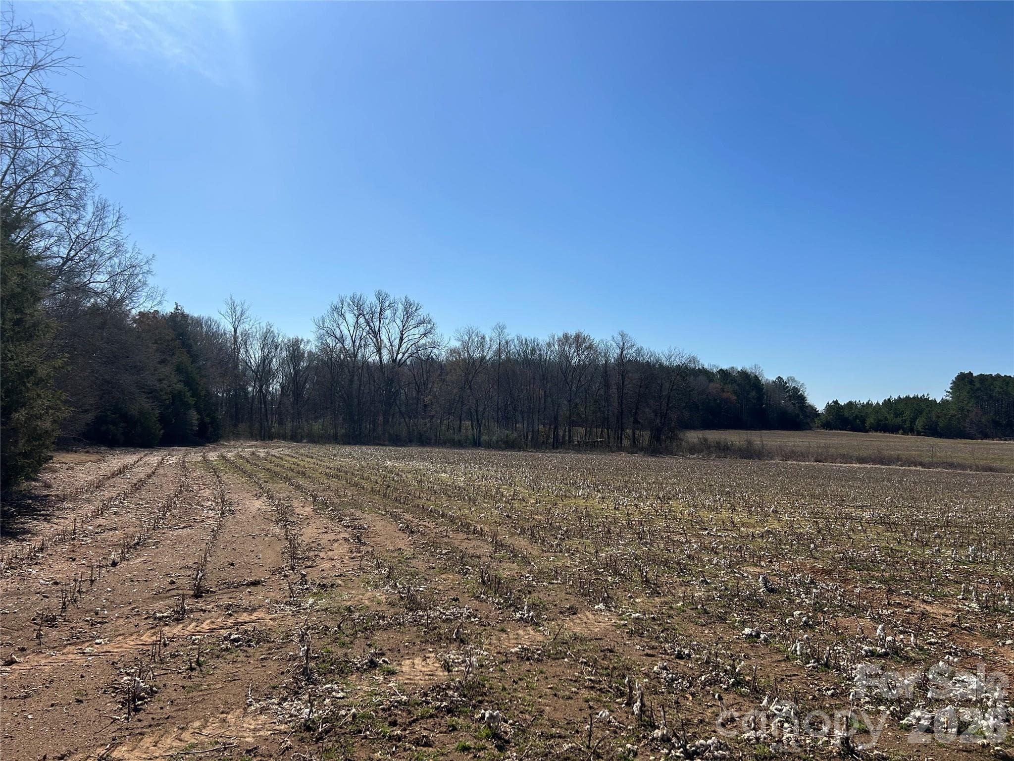 Acreage at Rock Hill, photo 34 of 90
