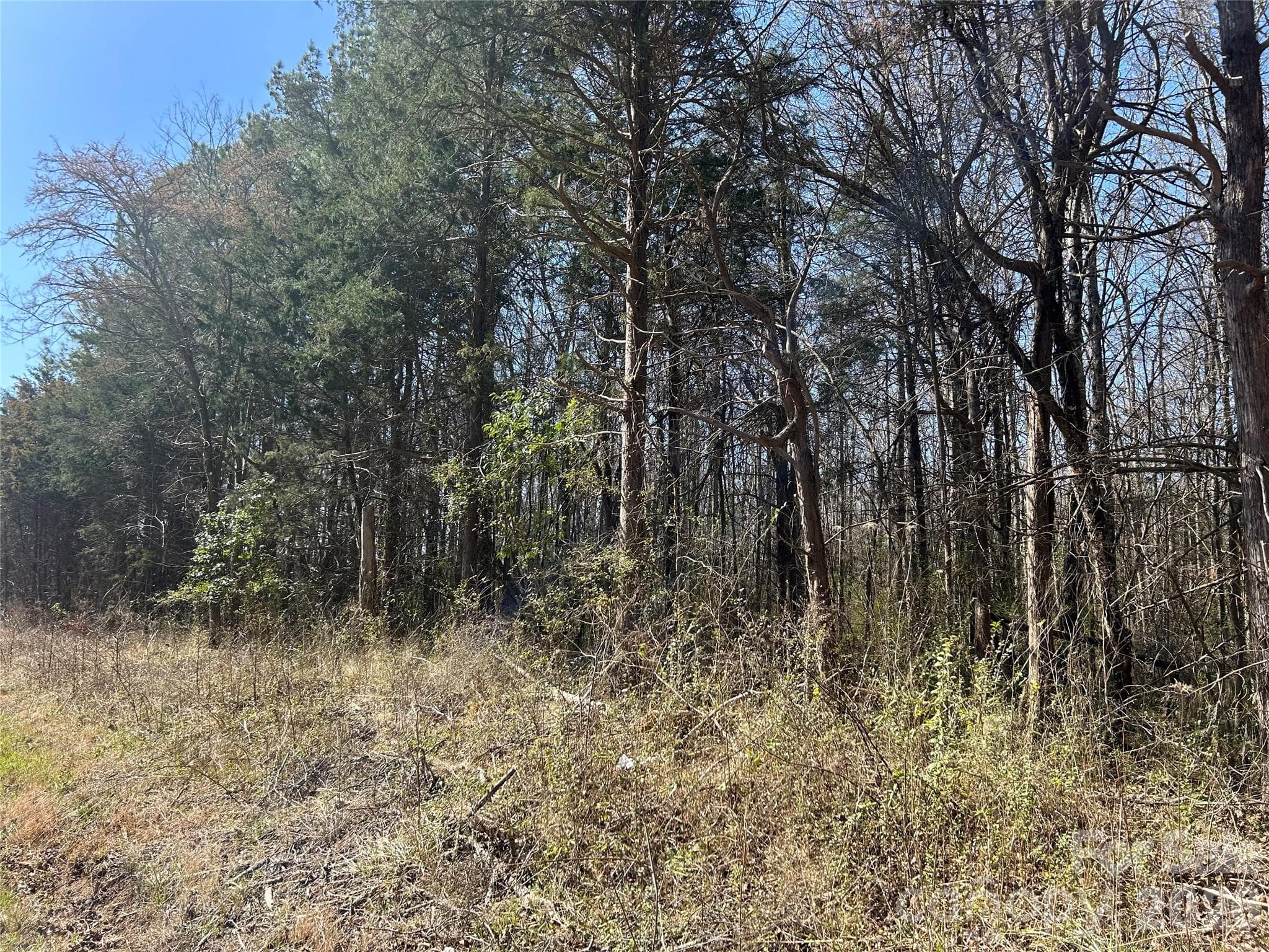 Acreage at Rock Hill, photo 48 of 90