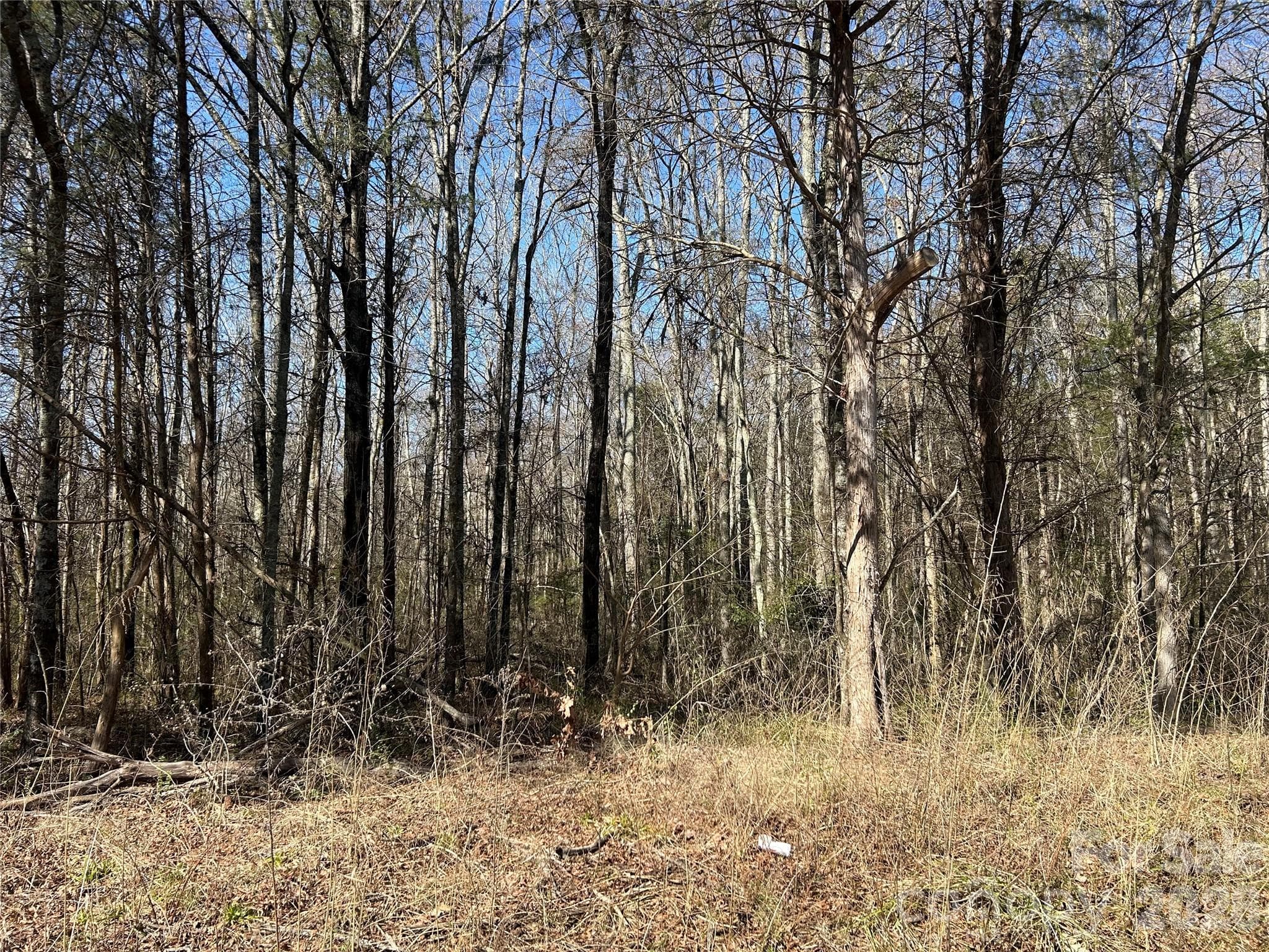 Acreage at Rock Hill, photo 50 of 90