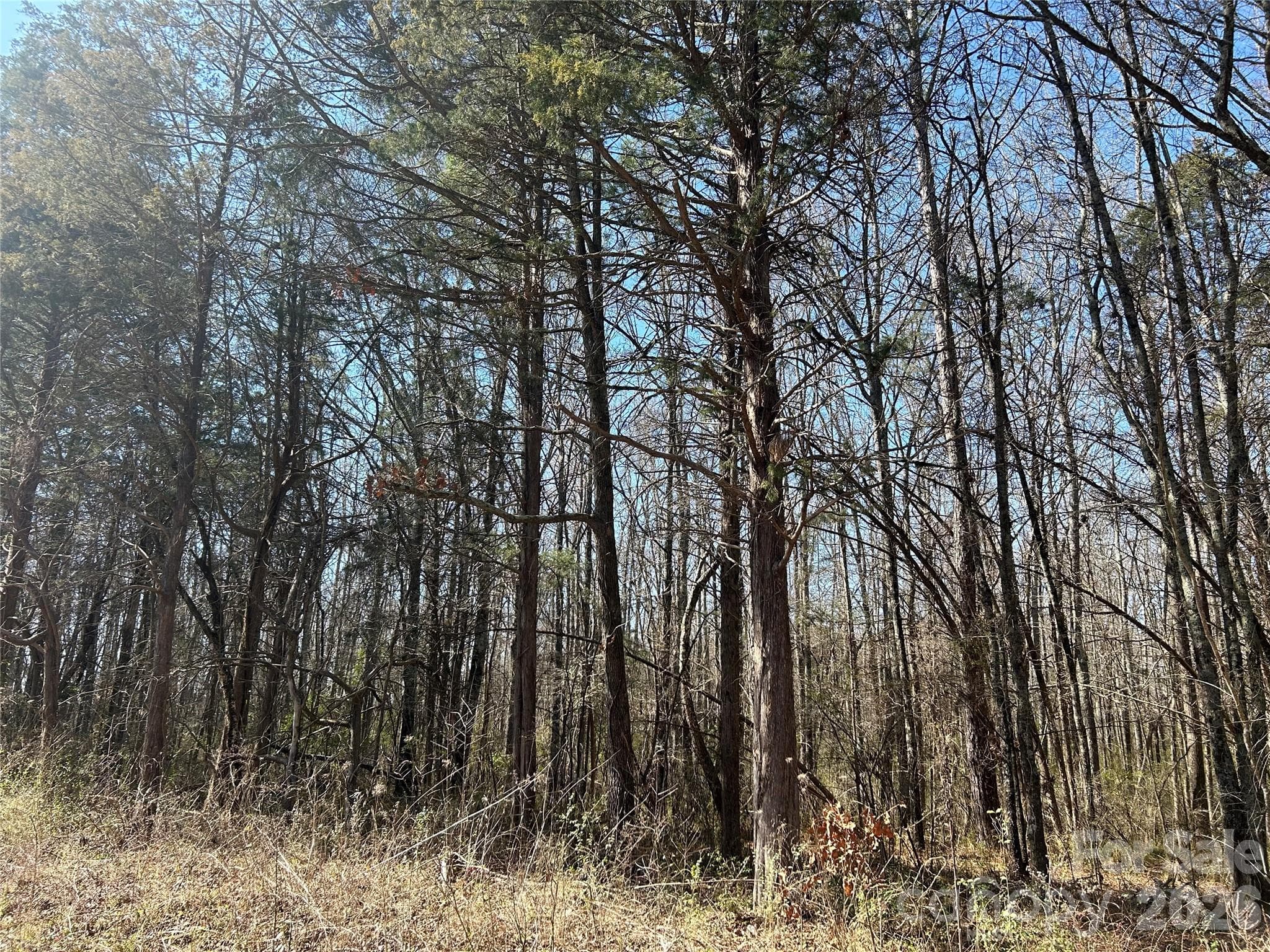Acreage at Rock Hill, photo 54 of 90