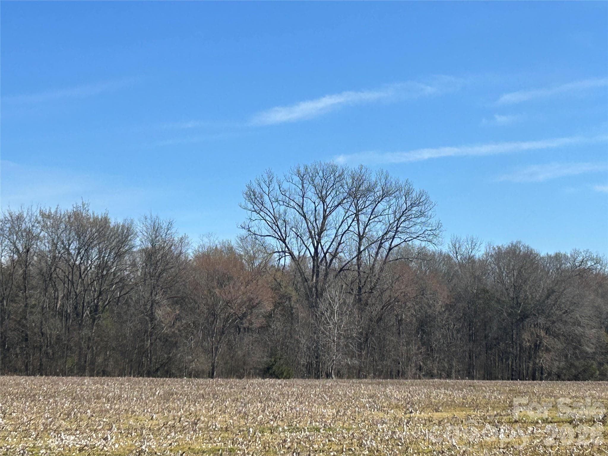 Acreage at Rock Hill, photo 82 of 90