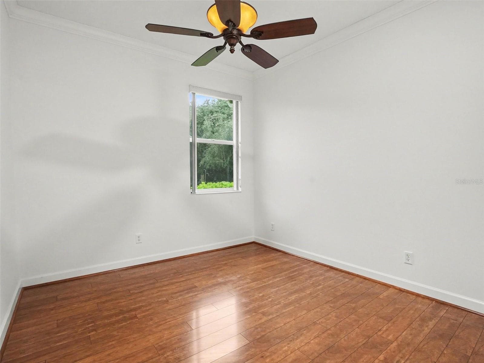 Single Family Residence at 8045 WATERBURY WAY, MOUNT DORA, photo 10 of 30