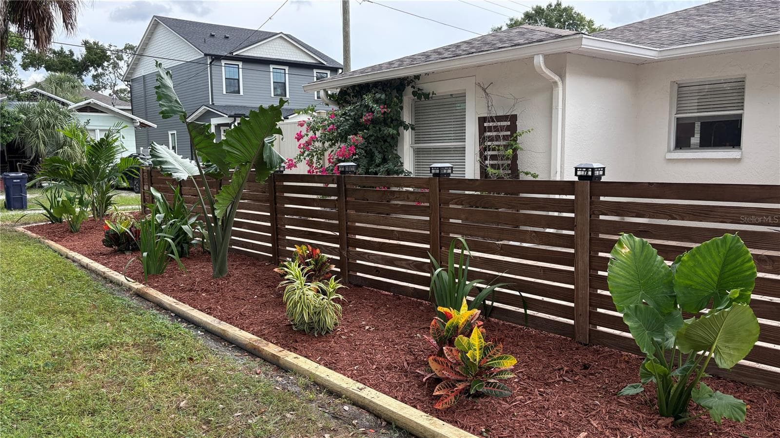 Front yard - 6001 N LYNN AVE, TAMPA