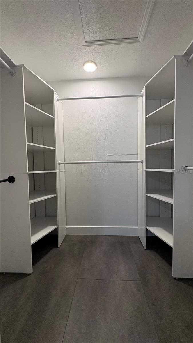 Primary walk-in closet - 6001 N LYNN AVE, TAMPA