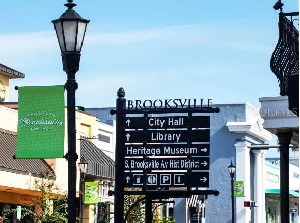 Stroll beautiful downtown - 31403 MALBEC DR, BROOKSVILLE