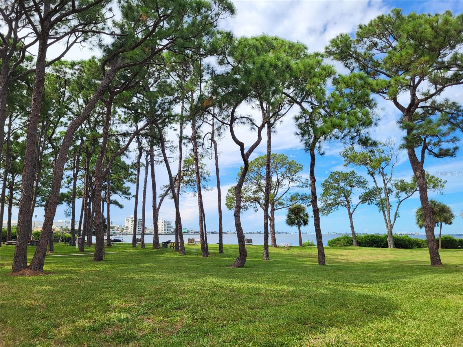 Mediterranean Manors - 2700 BAYSHORE BLVD #4102, DUNEDIN