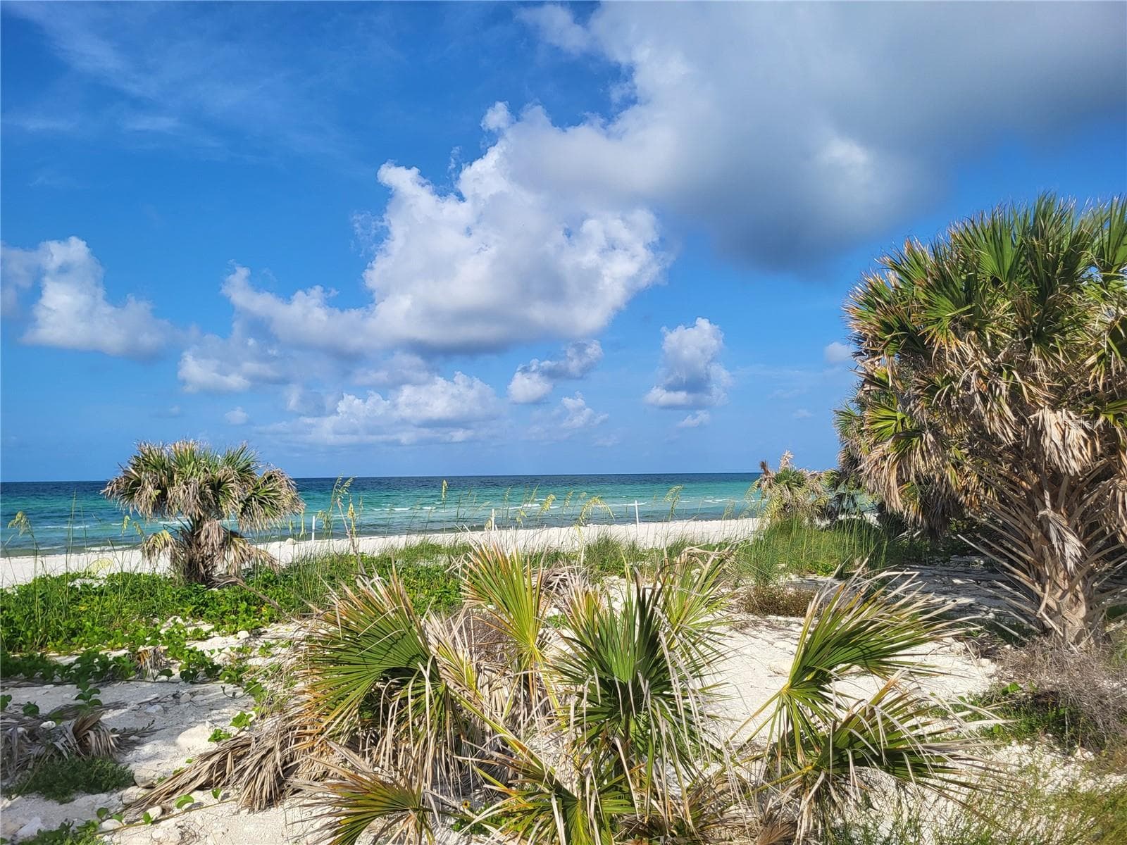 Honeymoon Island - 2700 BAYSHORE BLVD #4102, DUNEDIN