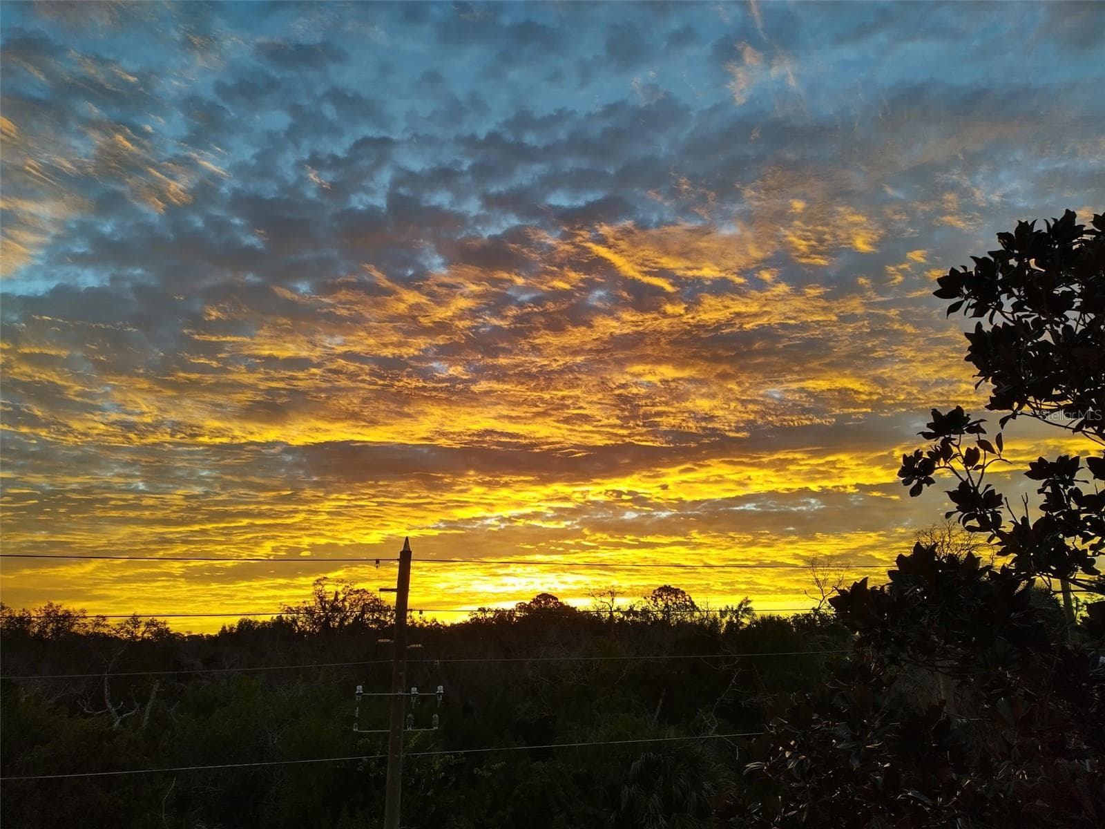 Sunsets are free at Robert K Rees Park - 6522 SAND SHORE LN, NEW PORT RICHEY