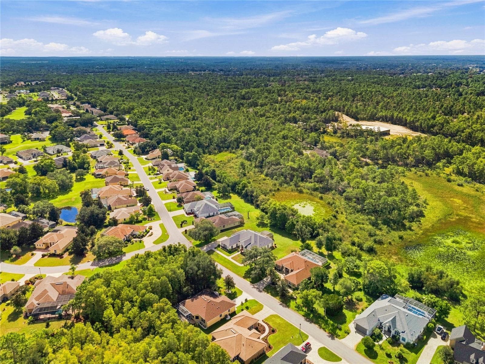 Single Family Residence at 8698 MISSISSIPPI RUN, WEEKI WACHEE, photo 58 of 66