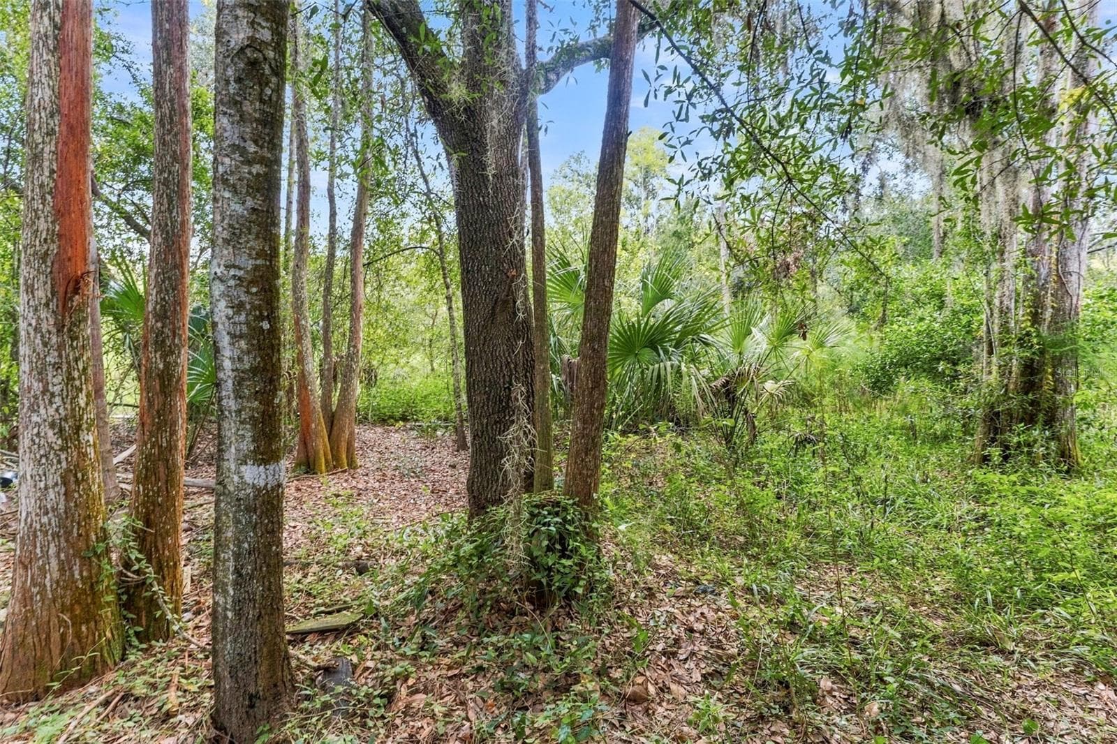 Privacy in the backyard - 1621 SPINNING WHEEL DR, LUTZ