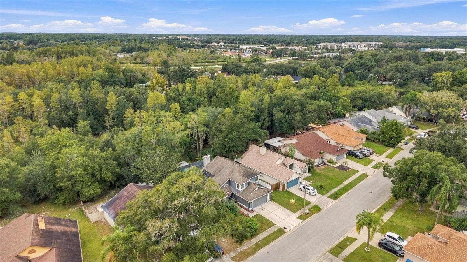 Conveniently located near Tampa Premium Outlets, shopping, dining, I-75, and I-275. - 1621 SPINNING WHEEL DR, LUTZ