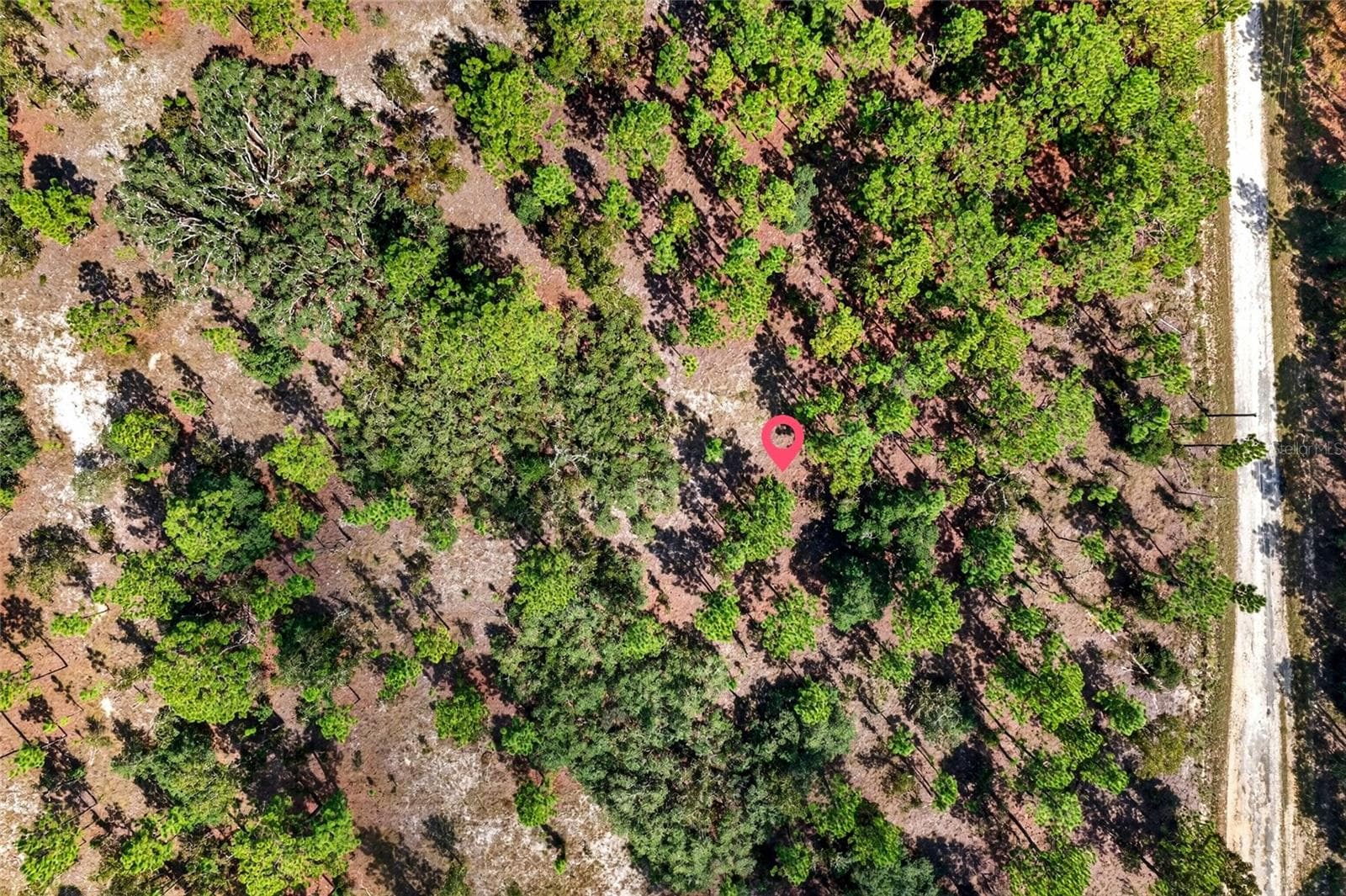 Land at 00 SE 130TH CT, DUNNELLON, photo 2 of 18