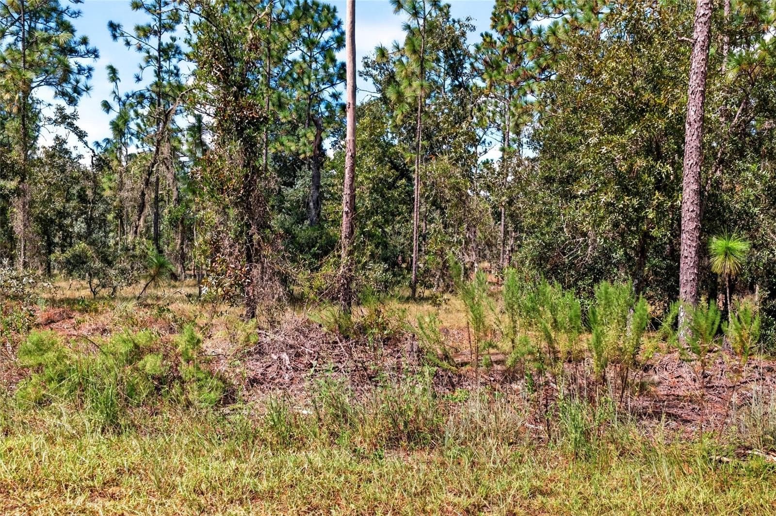 Land at 00 SE 130TH CT, DUNNELLON, photo 16 of 18