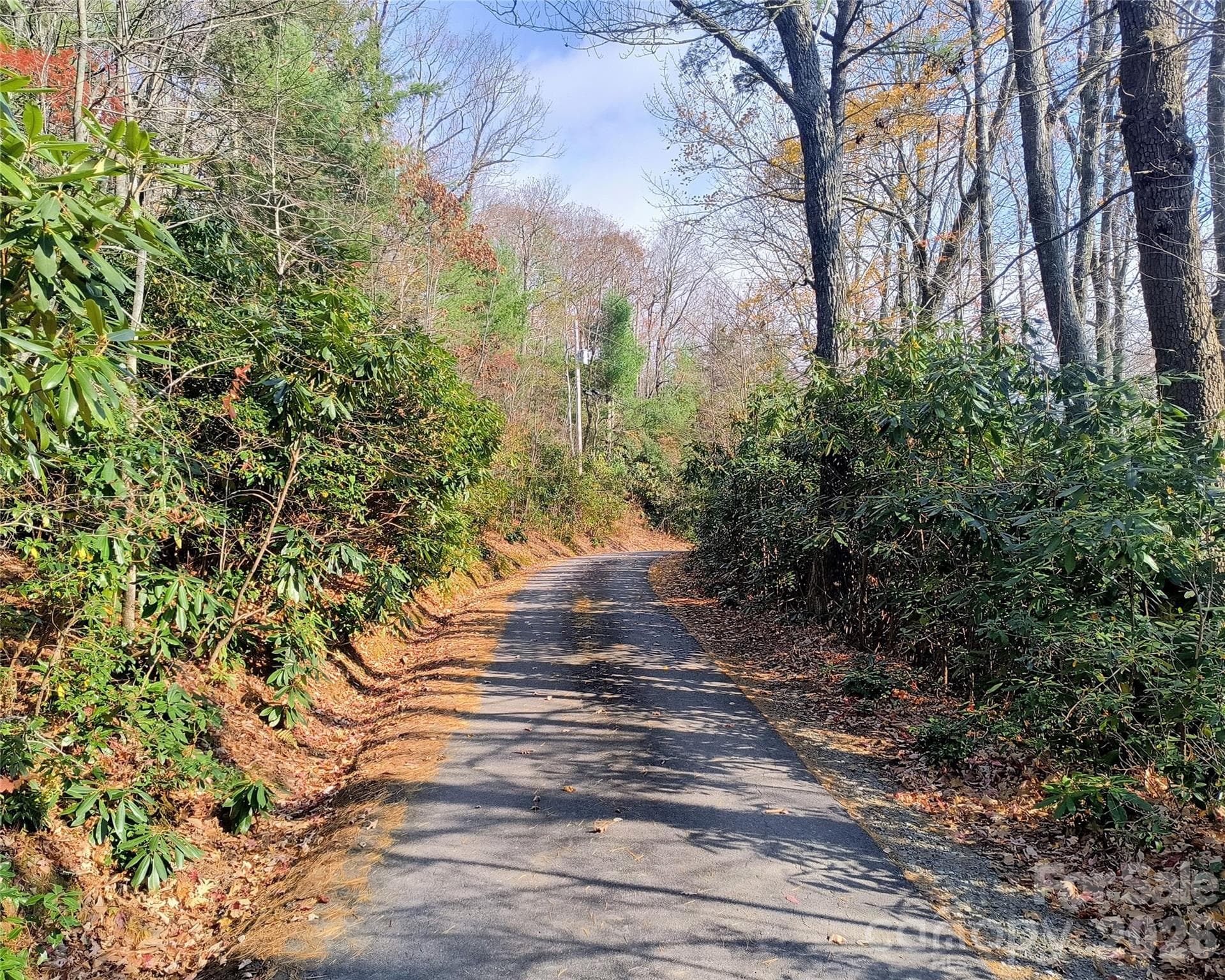 Subdivision Amenities: Paved, Privately Maintained Subdivision Roads - Lot 322 Sunny Drive, Newland