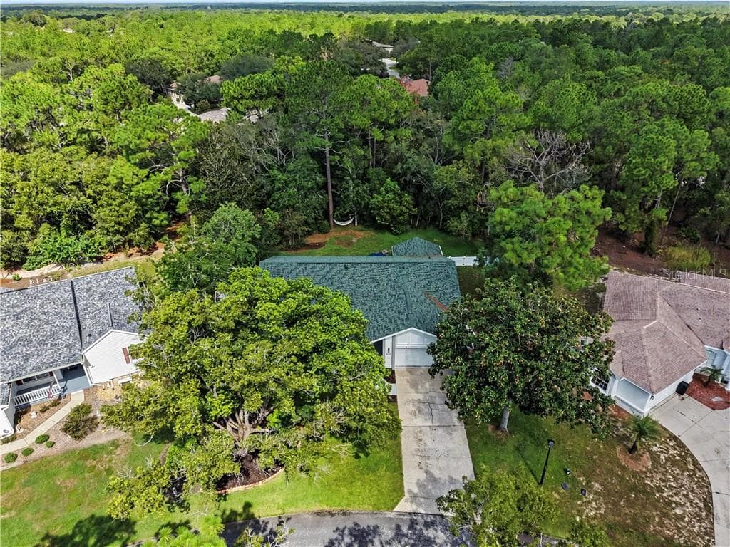 Single Family Residence at 10 Colubrina CT, HOMOSASSA FL 34446, Homosassa, photo 51 of 59