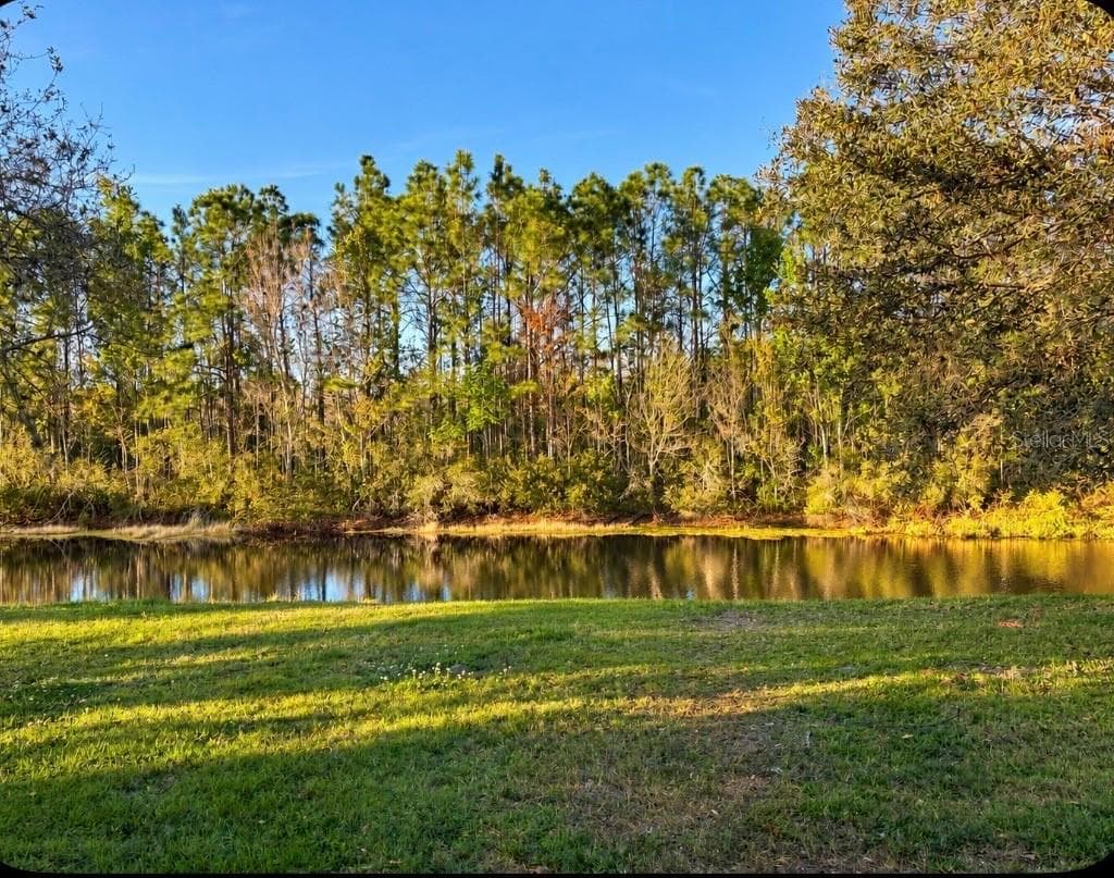 Single Family Residence at 26841 STILLBROOK DR, WESLEY CHAPEL, photo 2 of 5