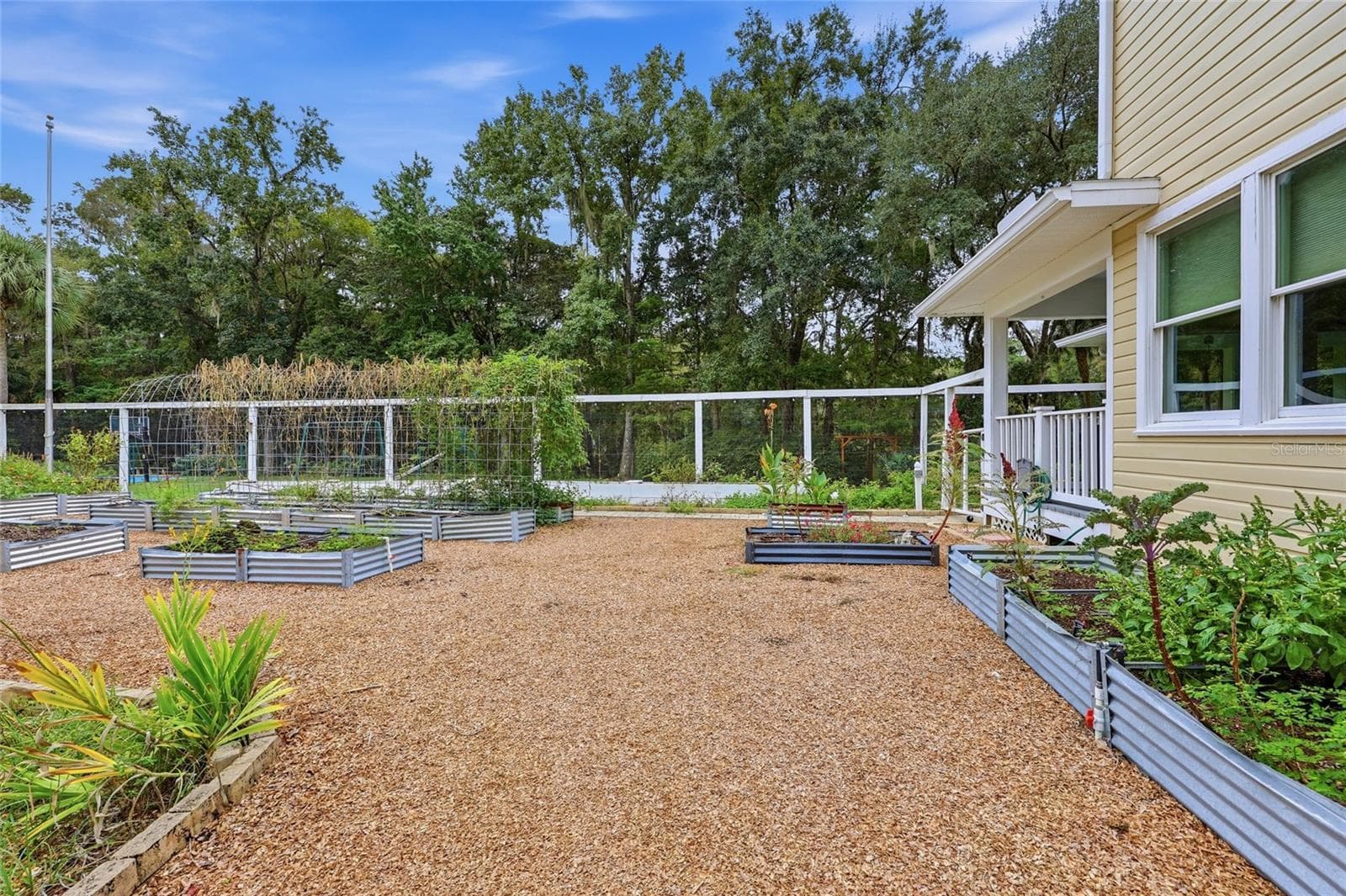 Vegetable/Flower Garden - 6109 NW 60TH PL, GAINESVILLE