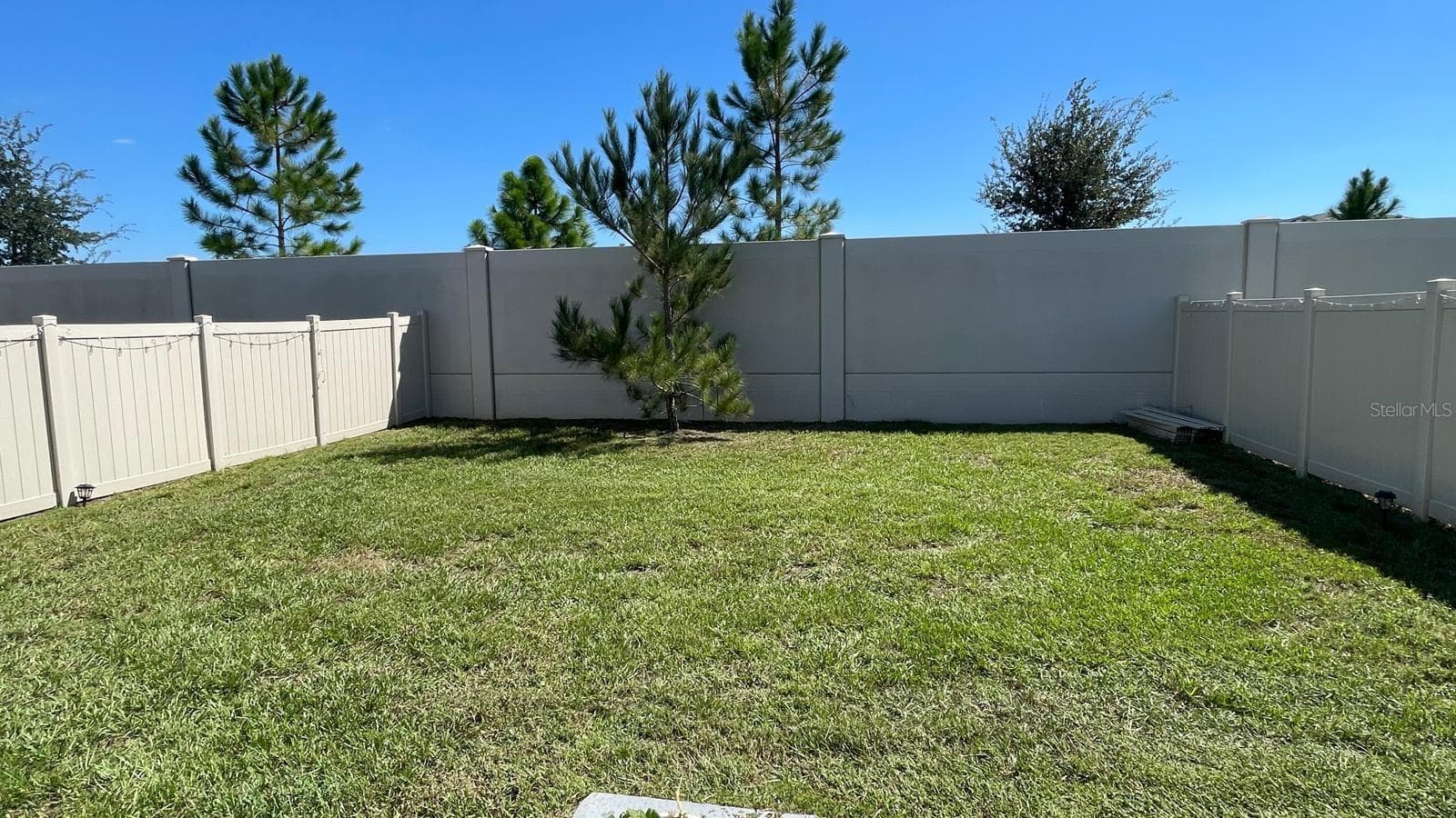 Backyard - 36117 SUNFLOWER HILL DR, ZEPHYRHILLS
