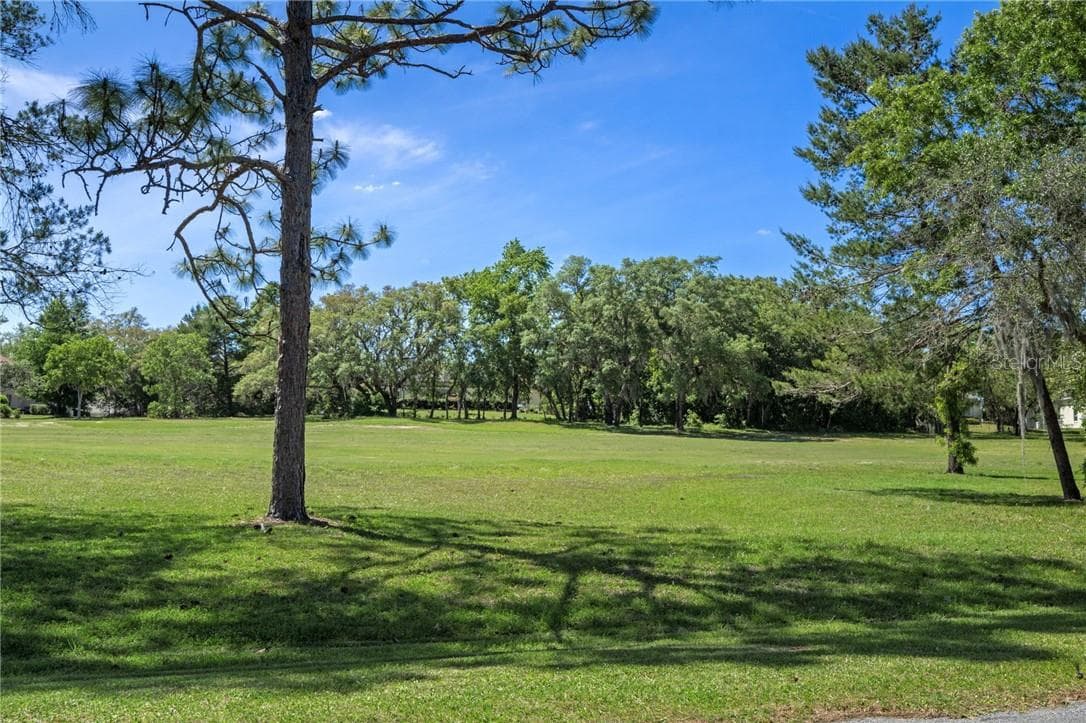 Golf course - 8 W Winged Foot CT, HOMOSASSA FL 34446, Homosassa