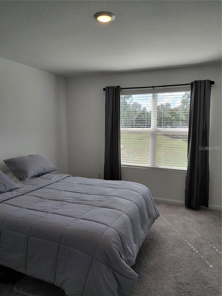 Master bedroom - 14947 PISA PKWY, DADE CITY