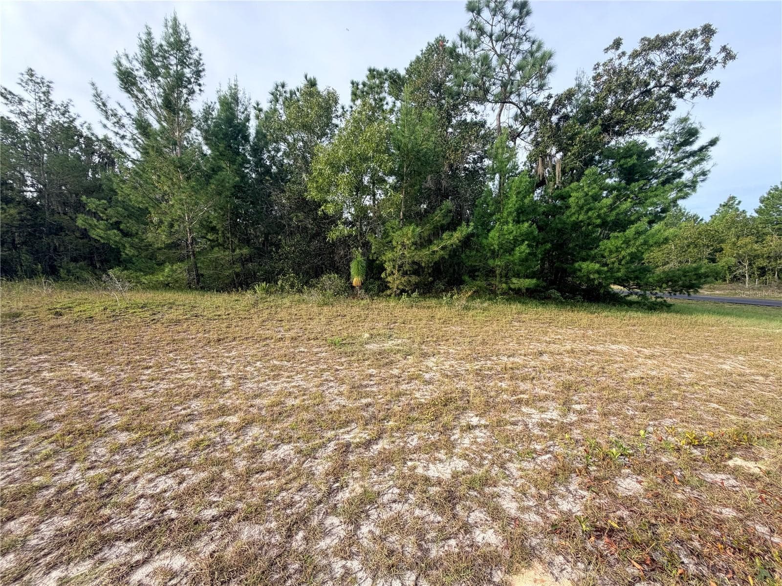 Land at 0 SW 139TH PLACE ROAD, OCALA, photo 5 of 8