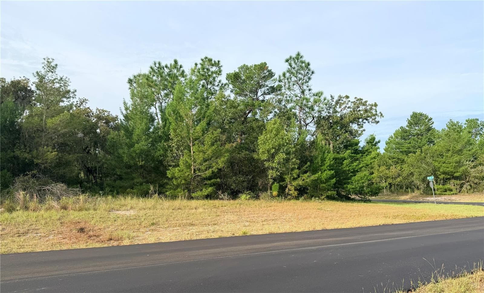 Land at 0 SW 139TH PLACE ROAD, OCALA, photo 7 of 8
