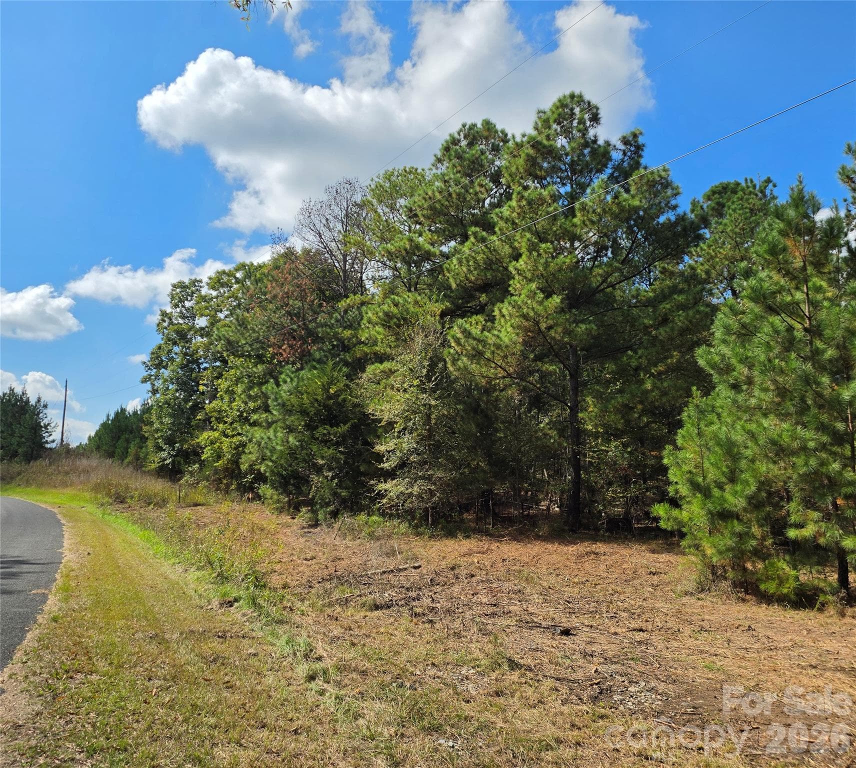Corner of McKnight Rd 15 +/- acres - 1350 McKnight Road, Smyrna