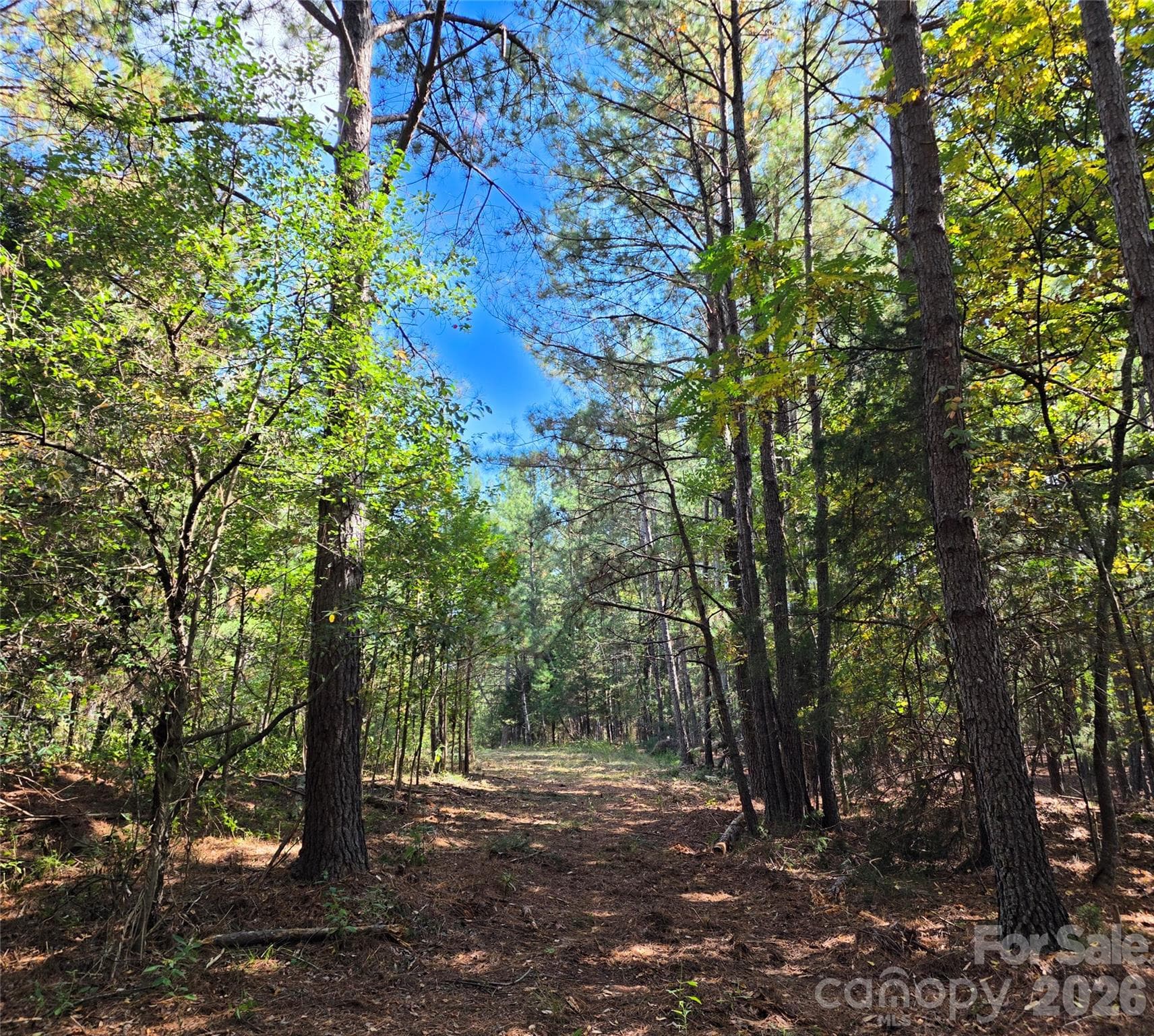 trail - 1350 McKnight Road, Smyrna