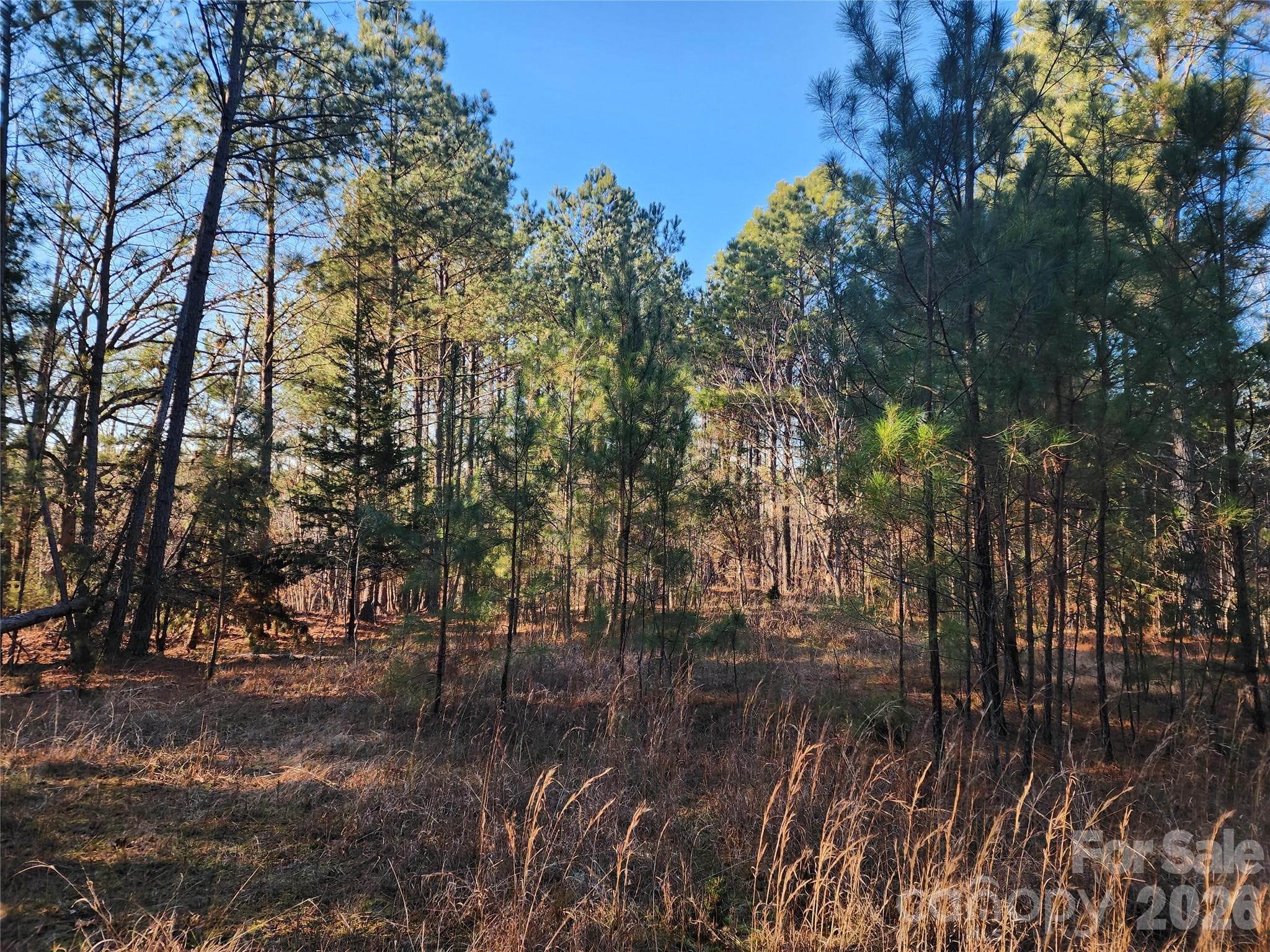 Acreage at 1350 McKnight Road, Smyrna, photo 16 of 47