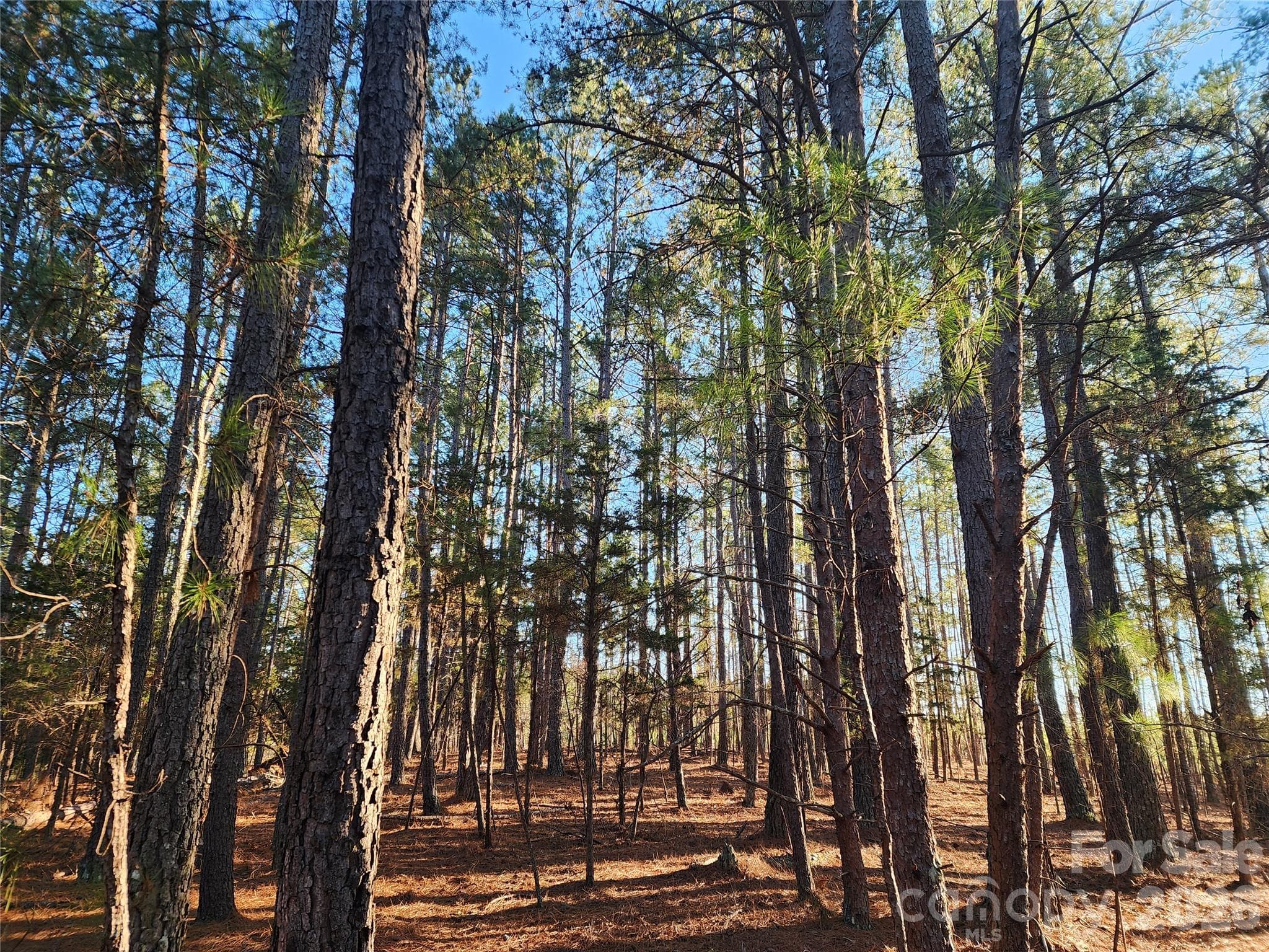 potential home site - 1350 McKnight Road, Smyrna