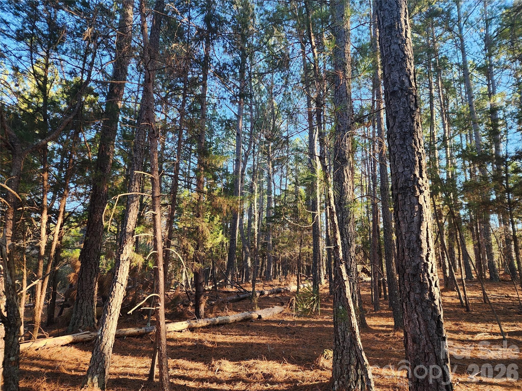 pines - 1350 McKnight Road, Smyrna