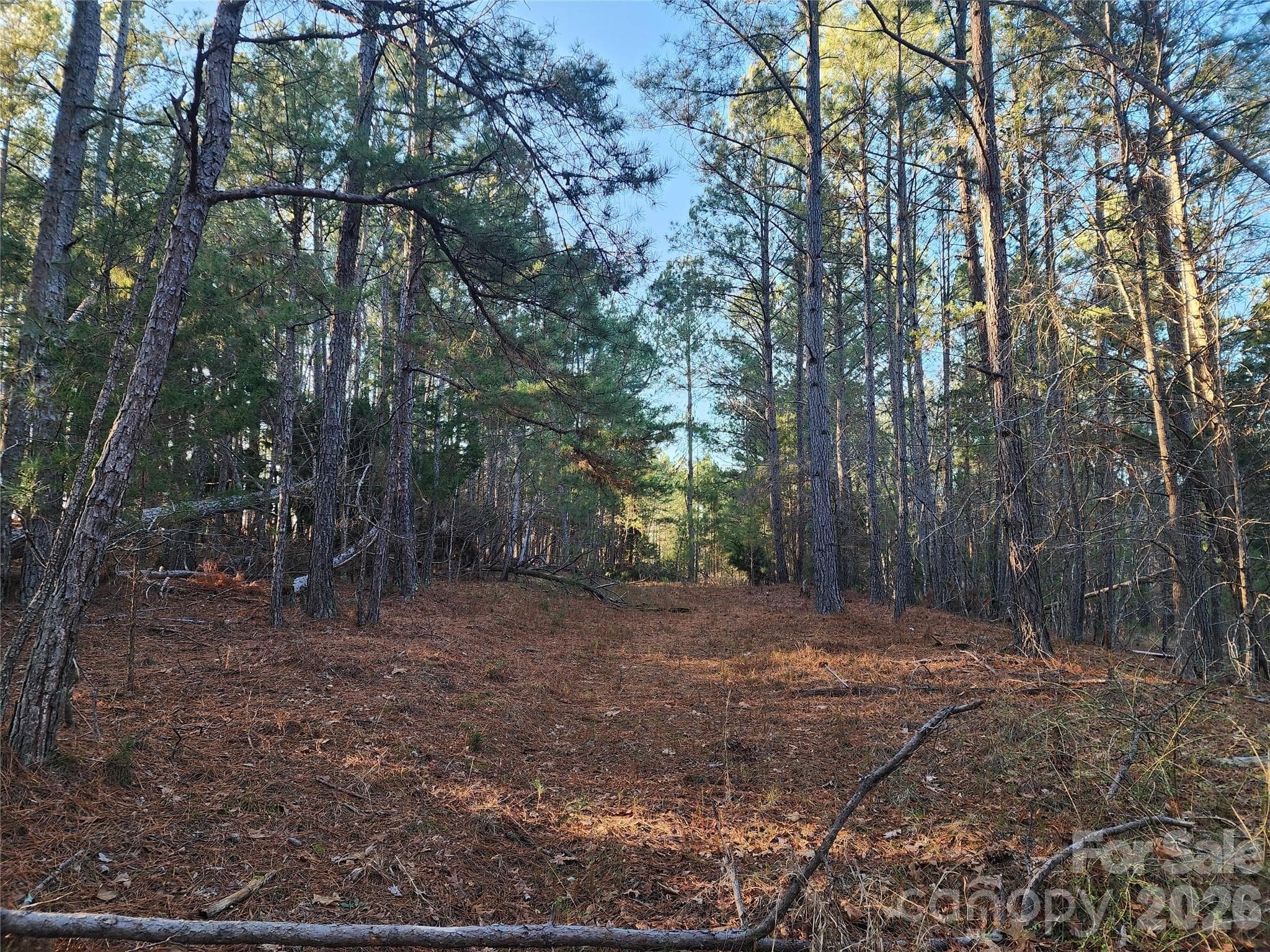 trail - 1350 McKnight Road, Smyrna