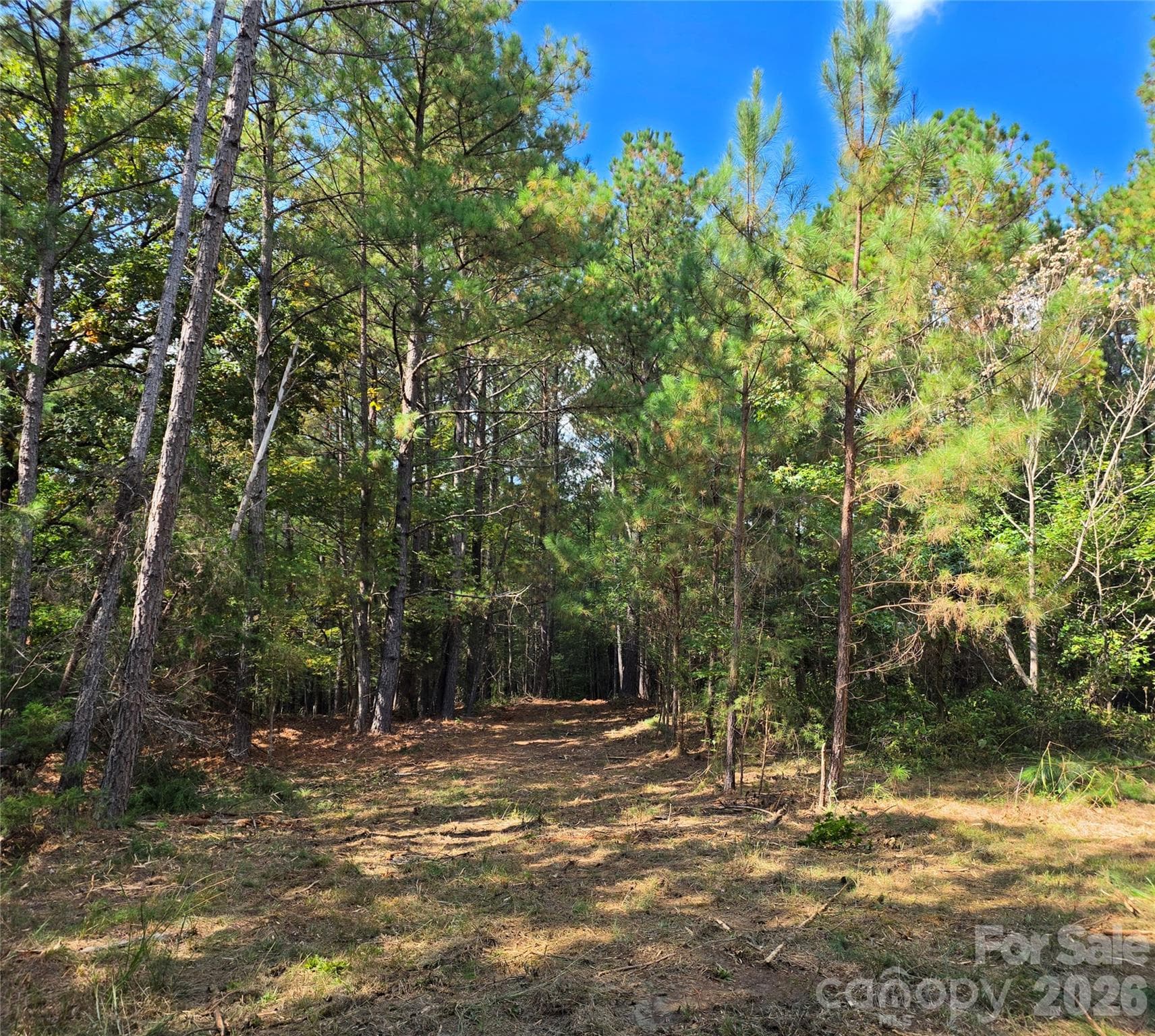 trail into the woods - 1350 McKnight Road, Smyrna