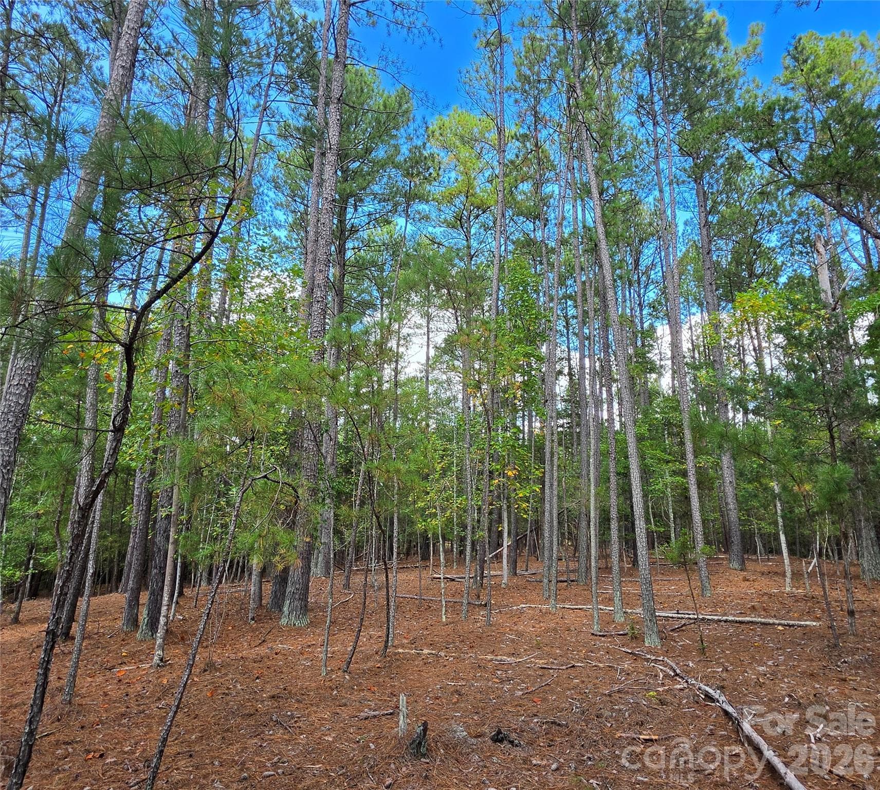 woods - 1350 McKnight Road, Smyrna