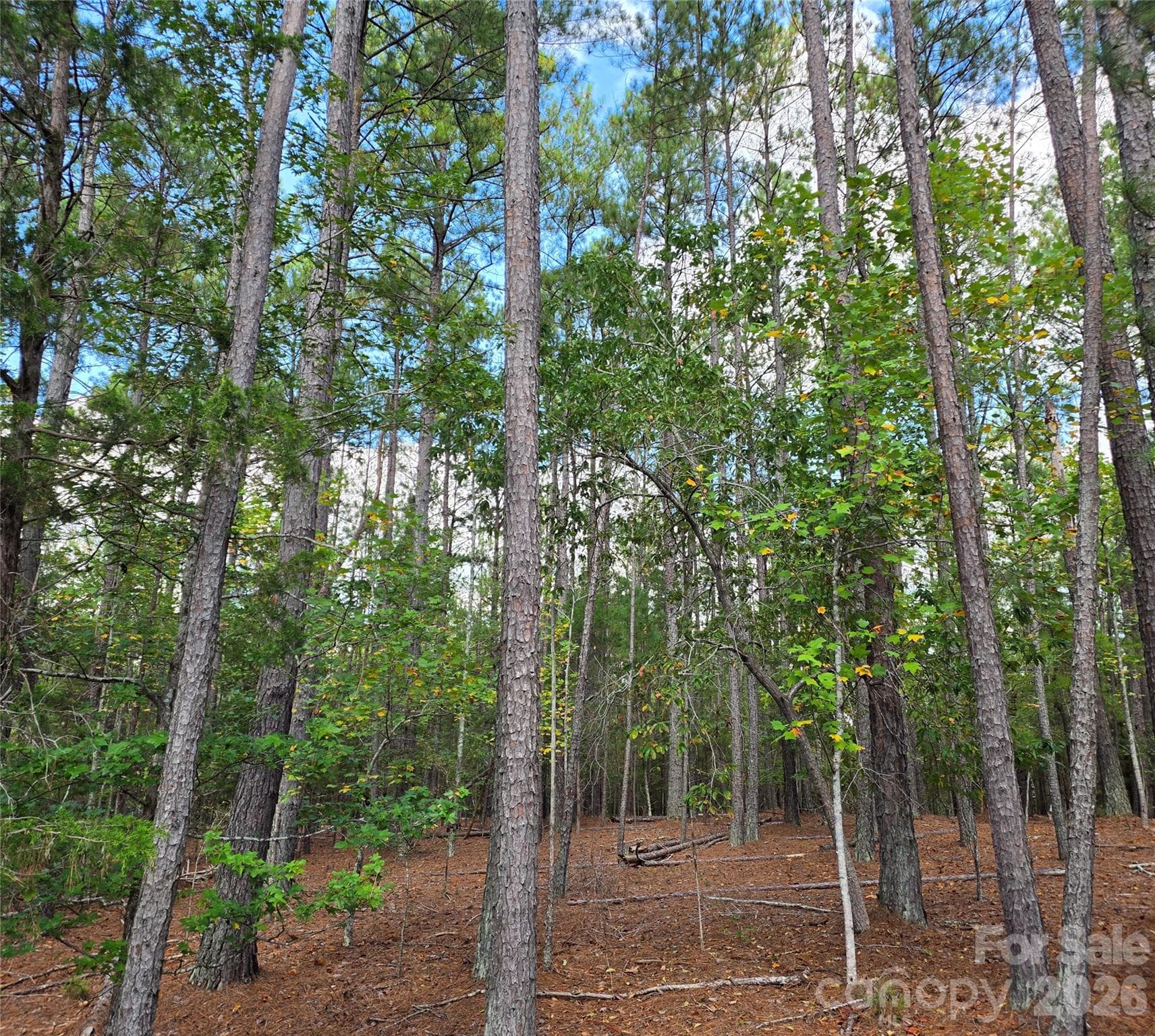 woods - 1350 McKnight Road, Smyrna