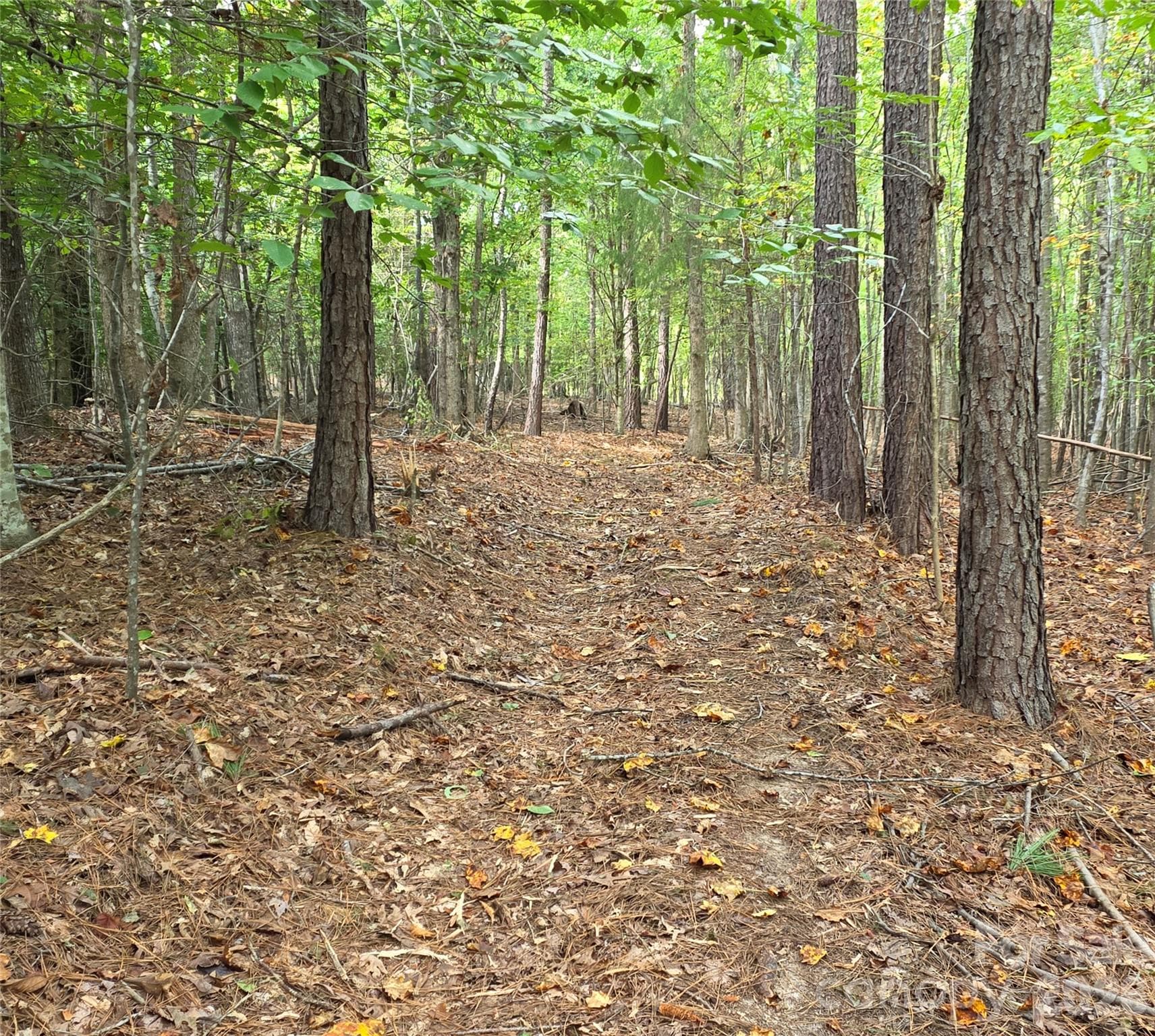 trail - 1350 McKnight Road, Smyrna