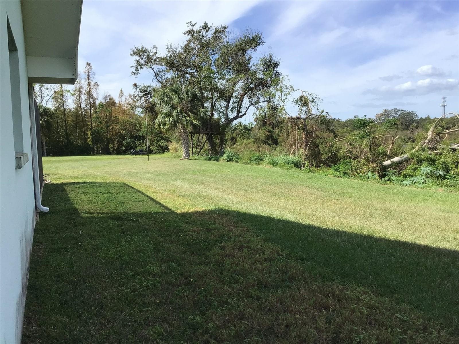 Single Family Residence at 1304 ALAMEDA AVE, CLEARWATER, photo 5 of 39
