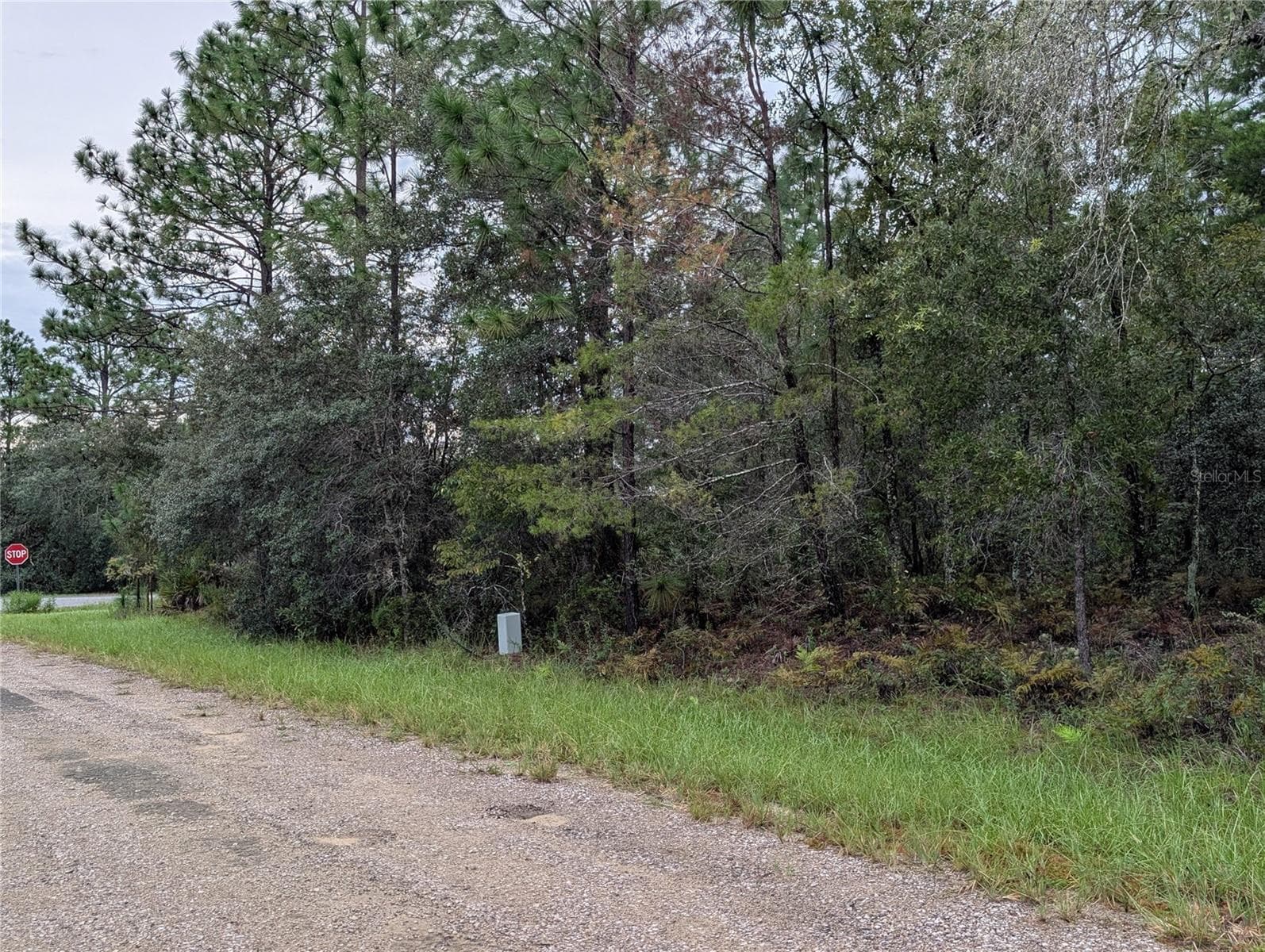 Land at 6443 N DORIAN TER, DUNNELLON, photo 3 of 4