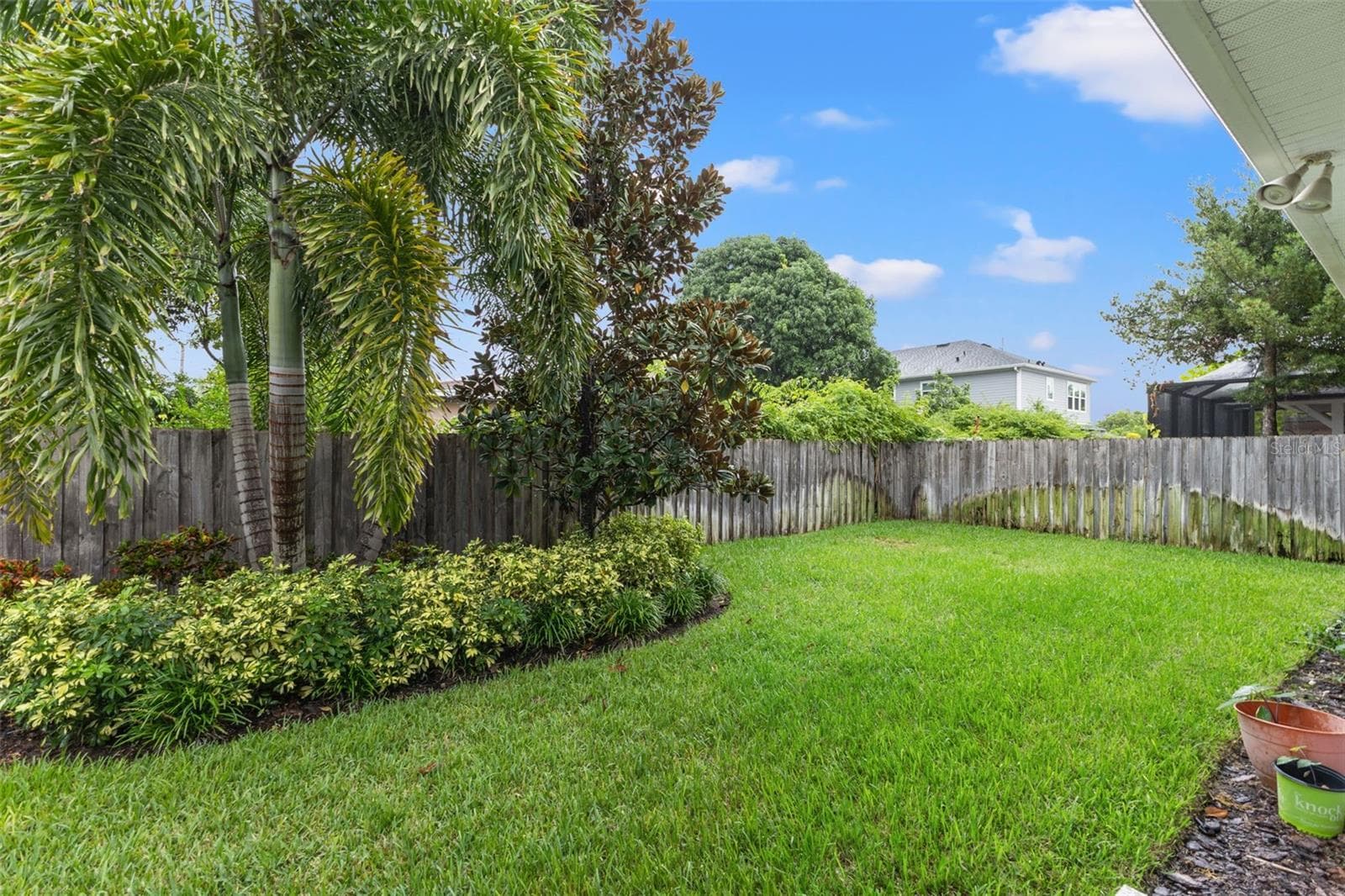 Backyard - 4009 W CARMEN ST, TAMPA