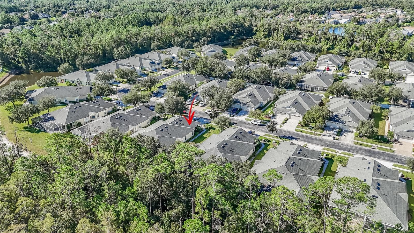 Villa at 3428 CHAPEL CREEK CIR, WESLEY CHAPEL, photo 22 of 51
