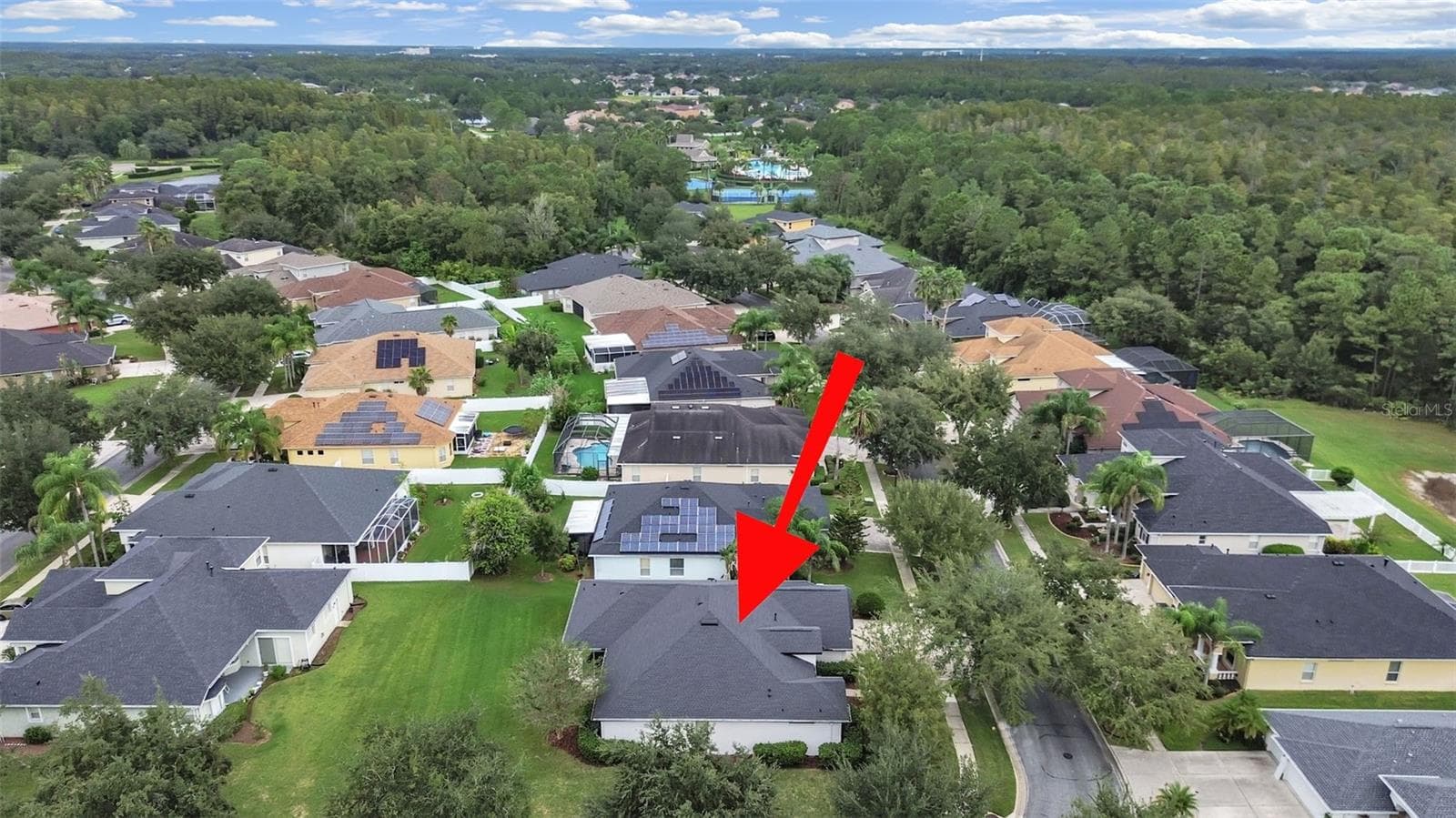bird view - 9310 MANGROVE CT, TAMPA