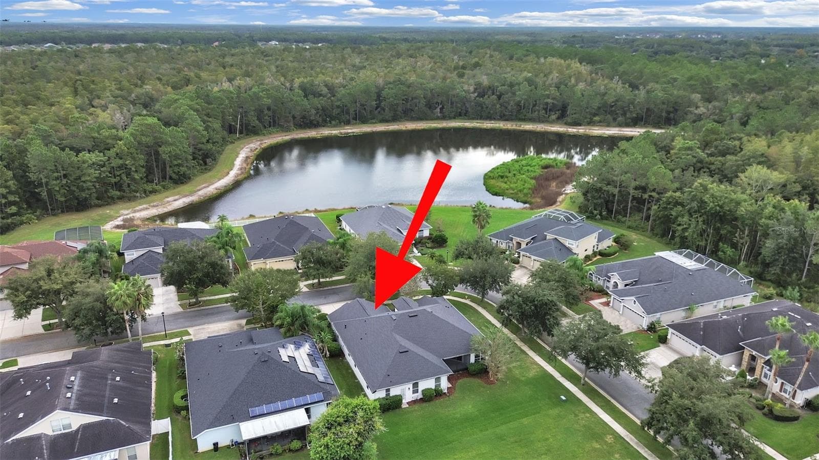 bird view - 9310 MANGROVE CT, TAMPA