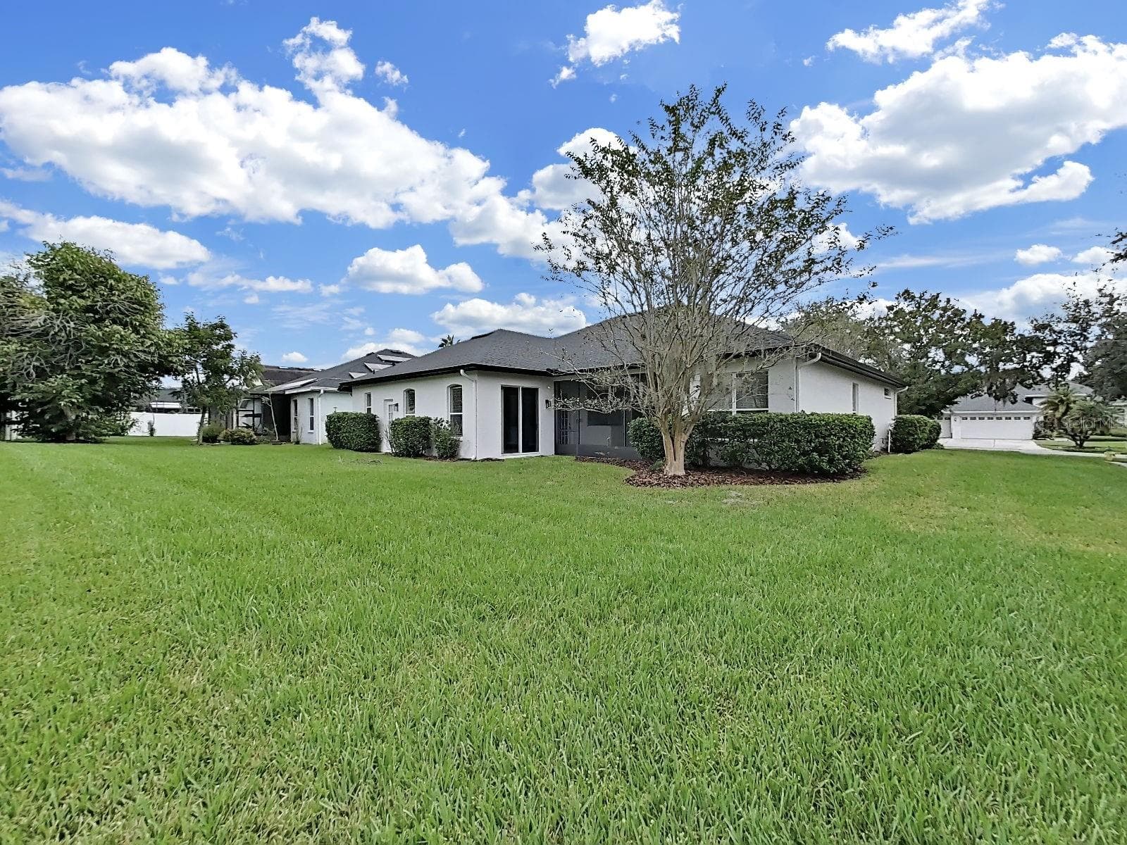 back yard - 9310 MANGROVE CT, TAMPA