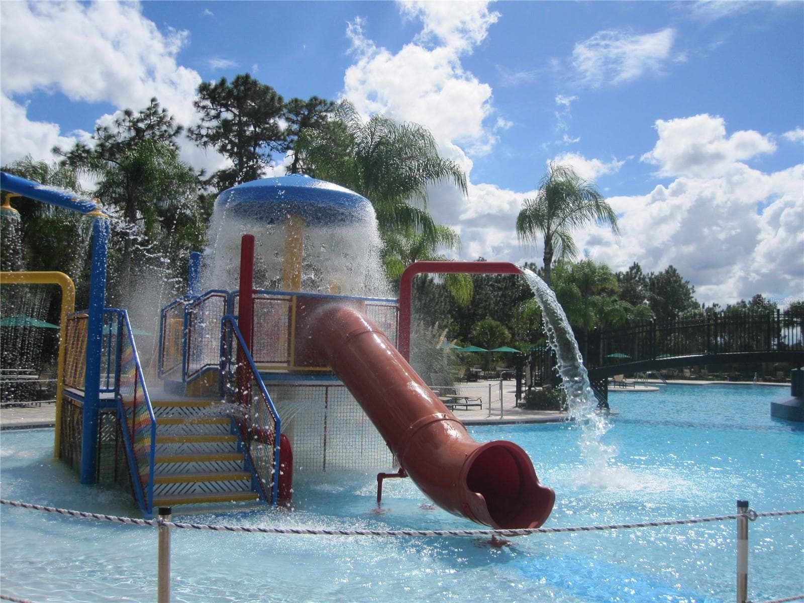 community pool - 9310 MANGROVE CT, TAMPA