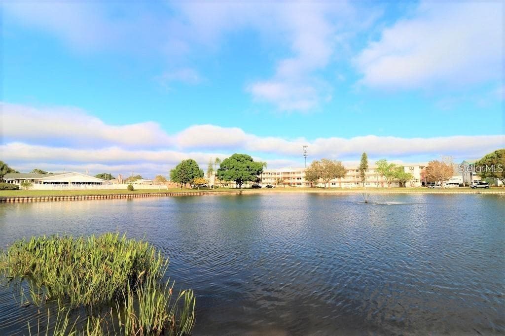 Community pond - 5810 21ST ST N #15, ST PETERSBURG