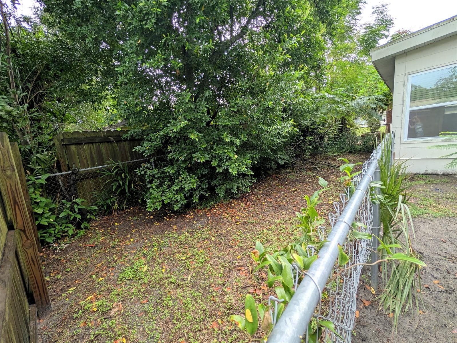 Single Family Residence at 1528 LEVERN ST, CLEARWATER, photo 34 of 39