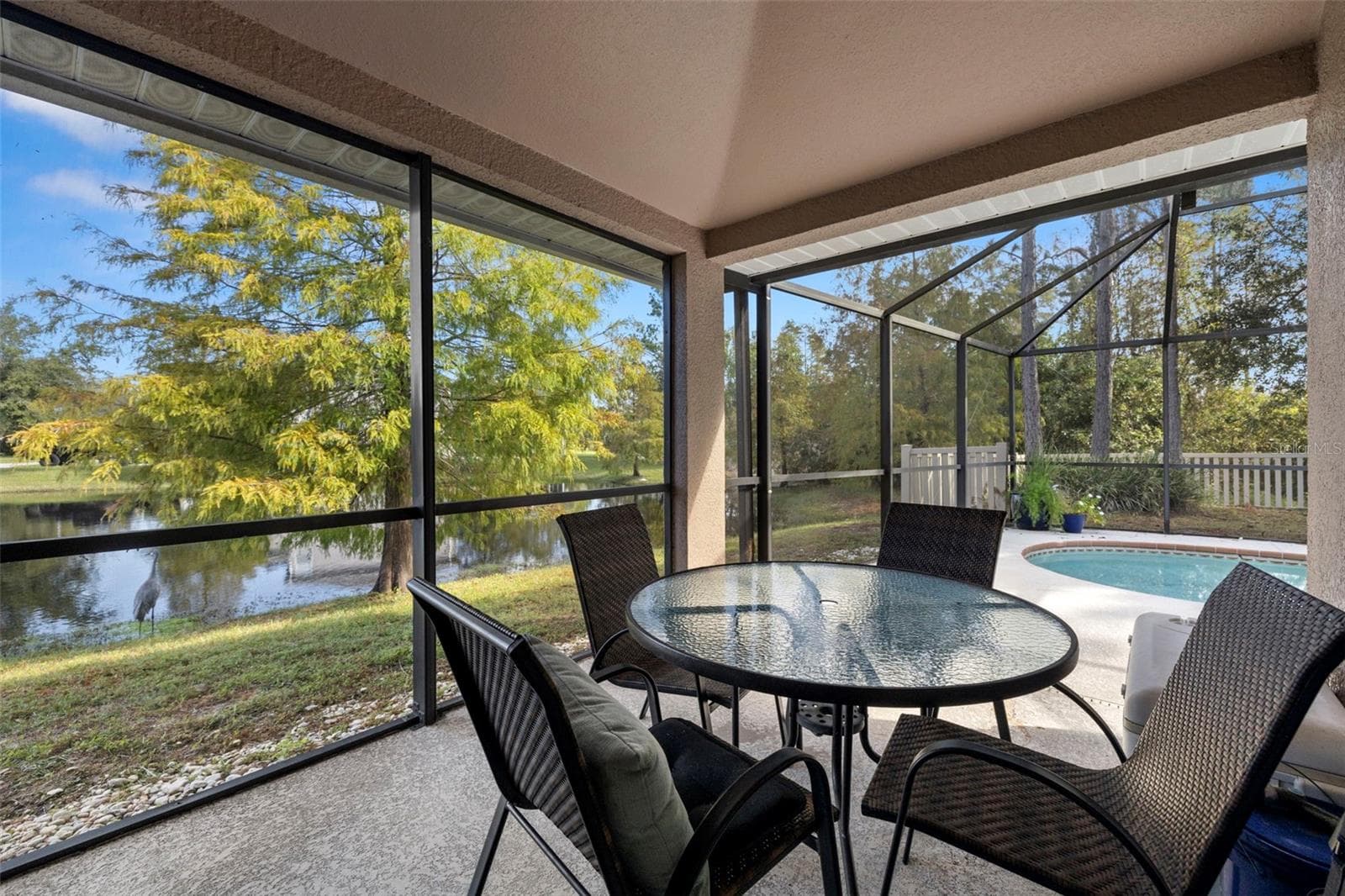 Serene and peaceful views of the pond and conservation areas behind the house. - 7831 STONELEIGH DR, LAND O LAKES