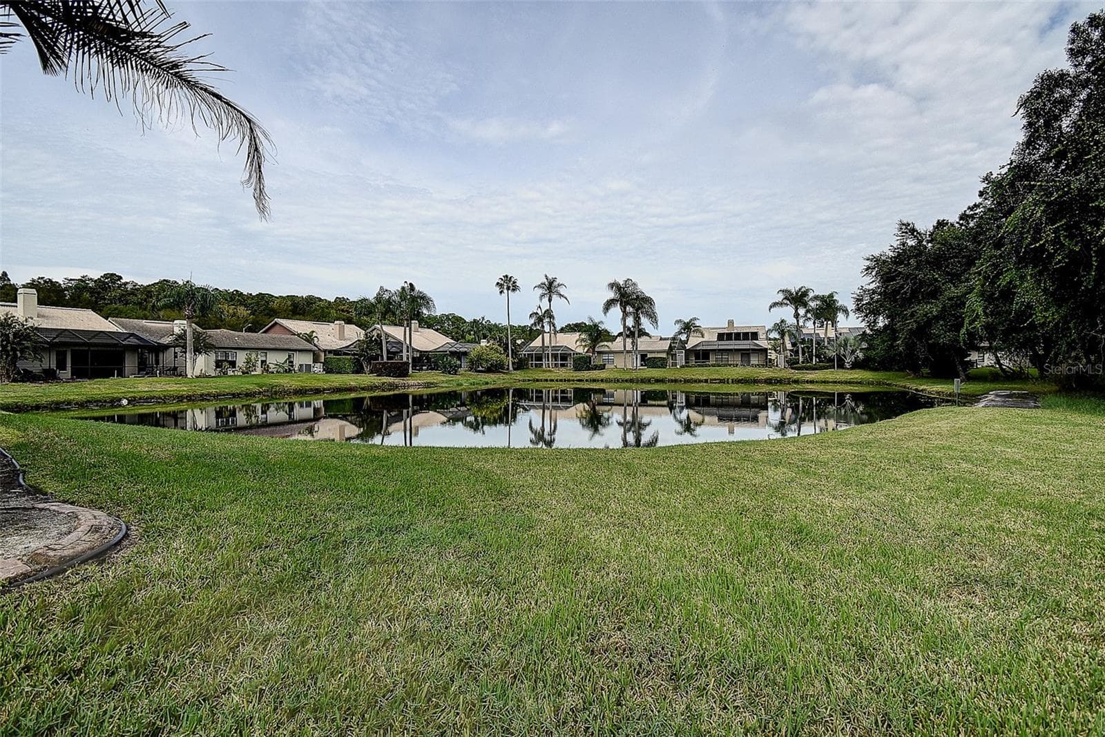 Located on a Pond with Conservation - 3609 DARSTON ST, PALM HARBOR