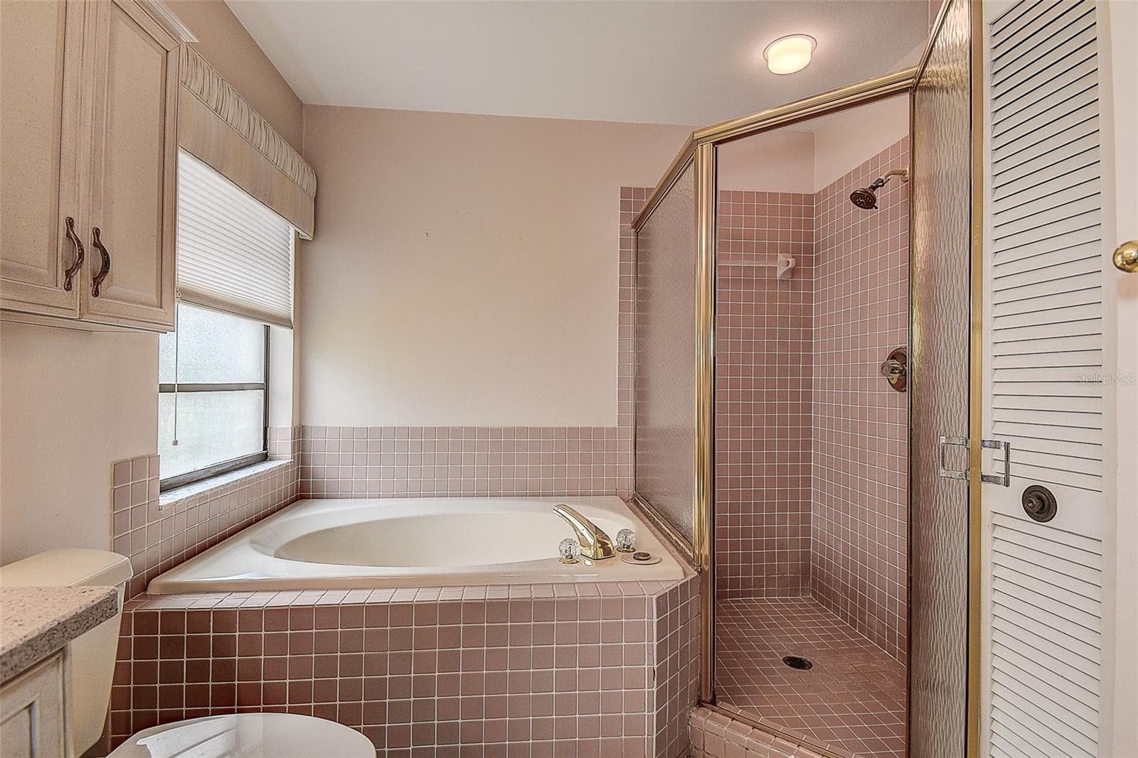 Both a Tub and a Walk-In Shower - 3609 DARSTON ST, PALM HARBOR
